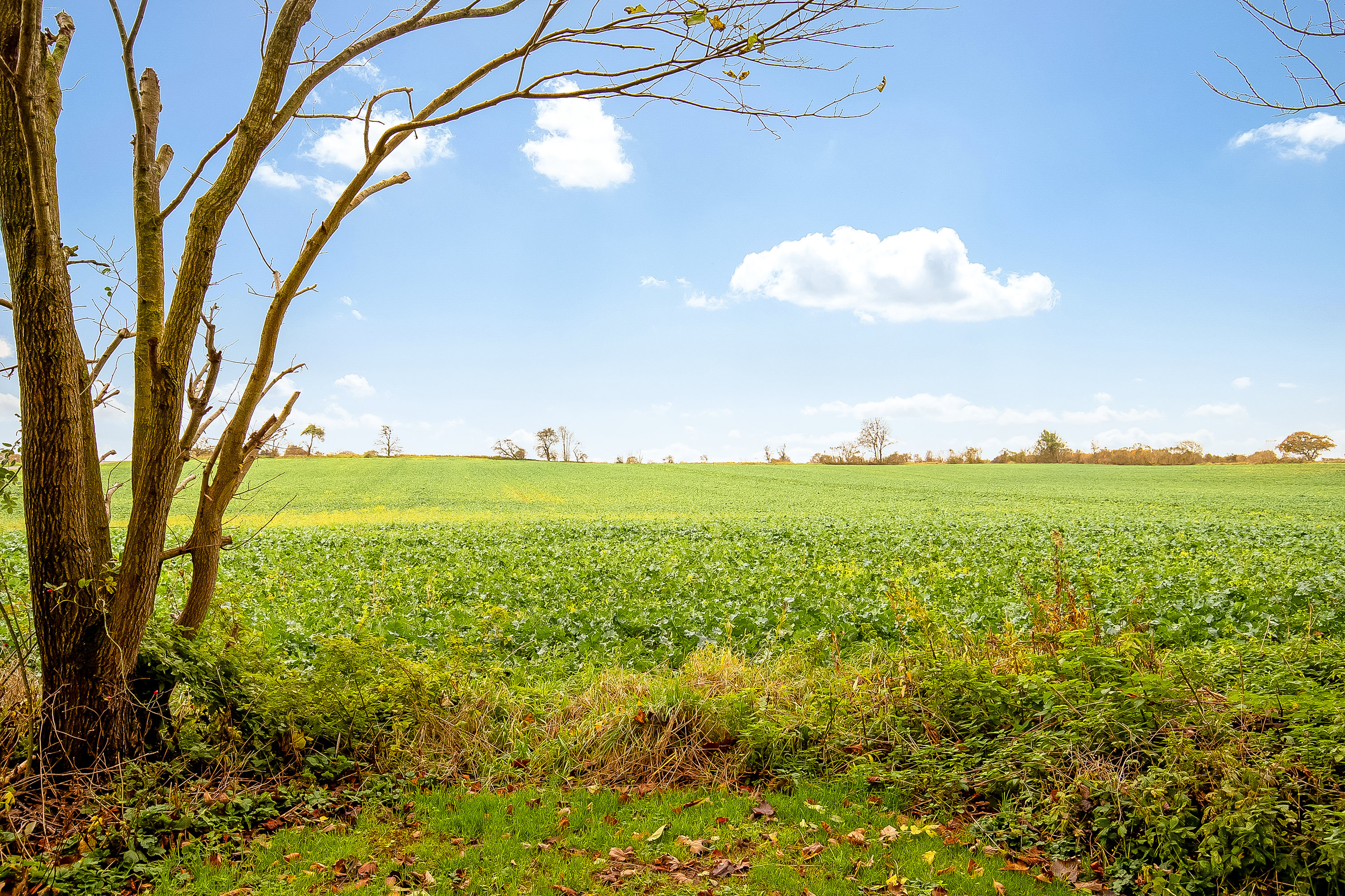 Fremhævet udsigt billede i fuldskærmstilstand. Billede af Søndermarksvej 6, Starup, 6040 Egtved