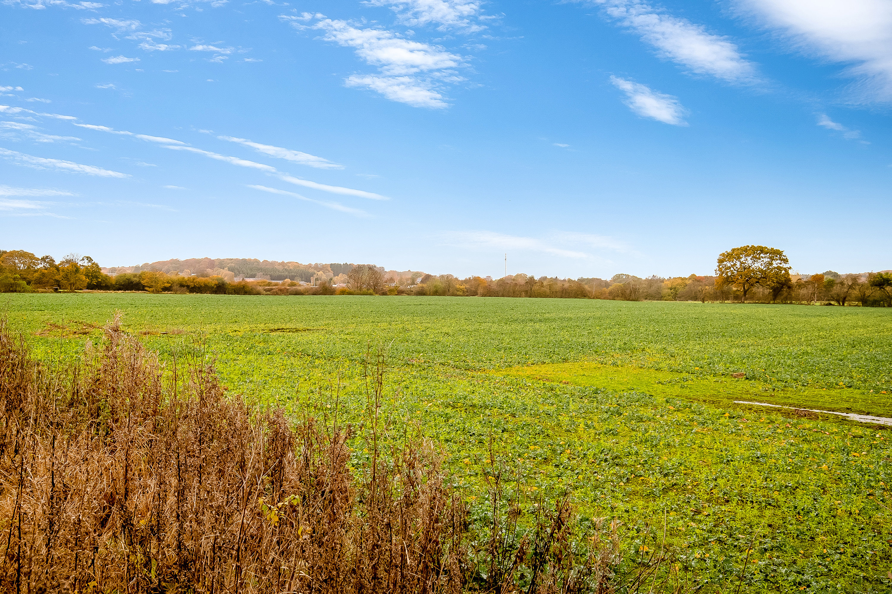 Fremhævet udsigt billede i fuldskærmstilstand. Billede af Søndermarksvej 6, Starup, 6040 Egtved