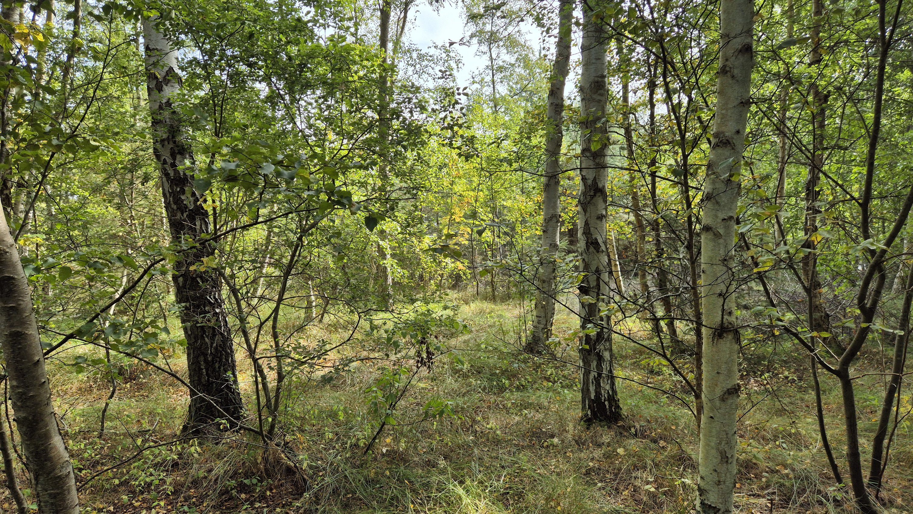 Fritidsgrund på Blåmunkevej 4, Vesterø, 9940 Læsø
