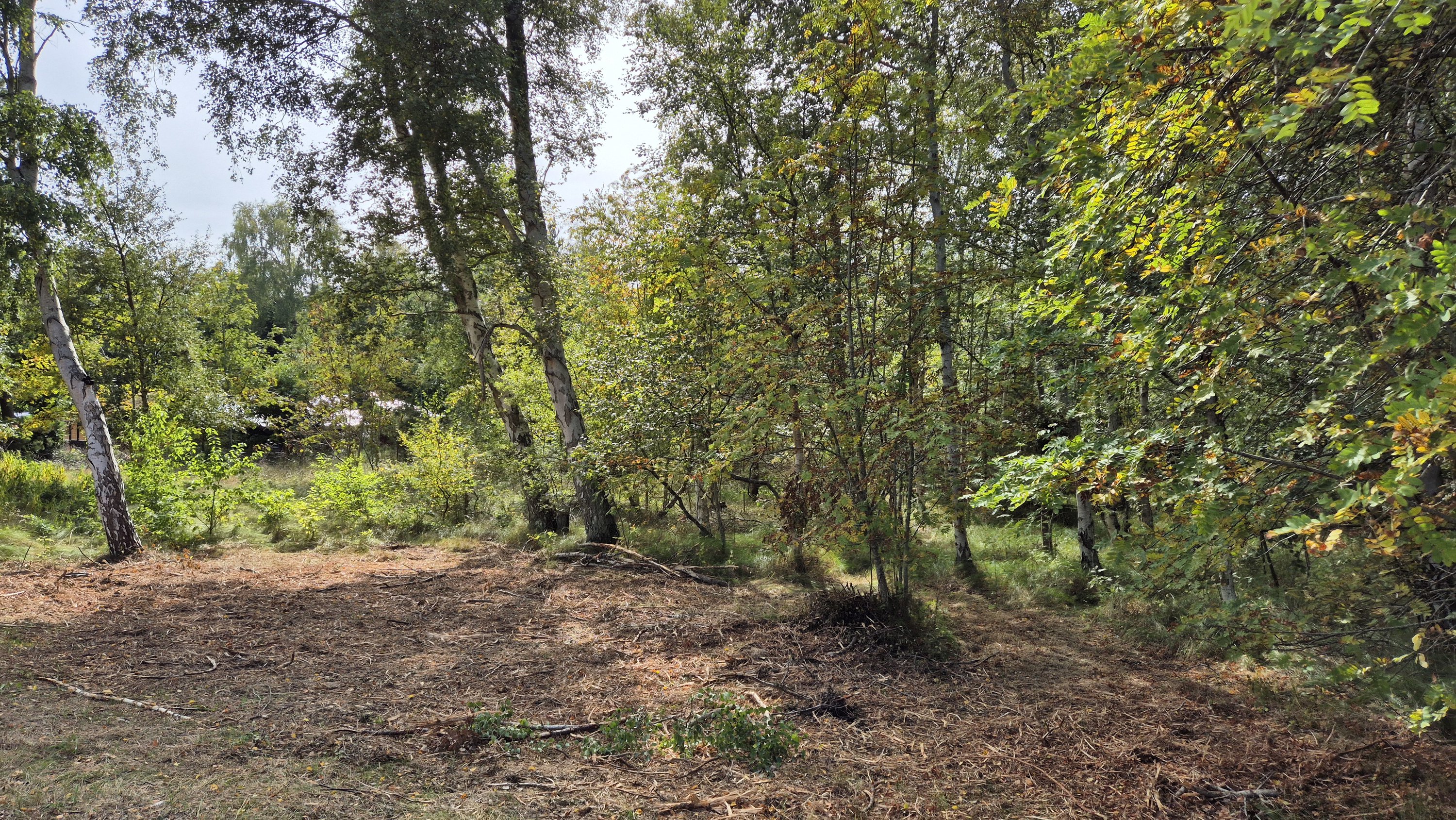 Miniaturebillede 2: . Billede af Blåmunkevej 4, Vesterø, 9940 Læsø