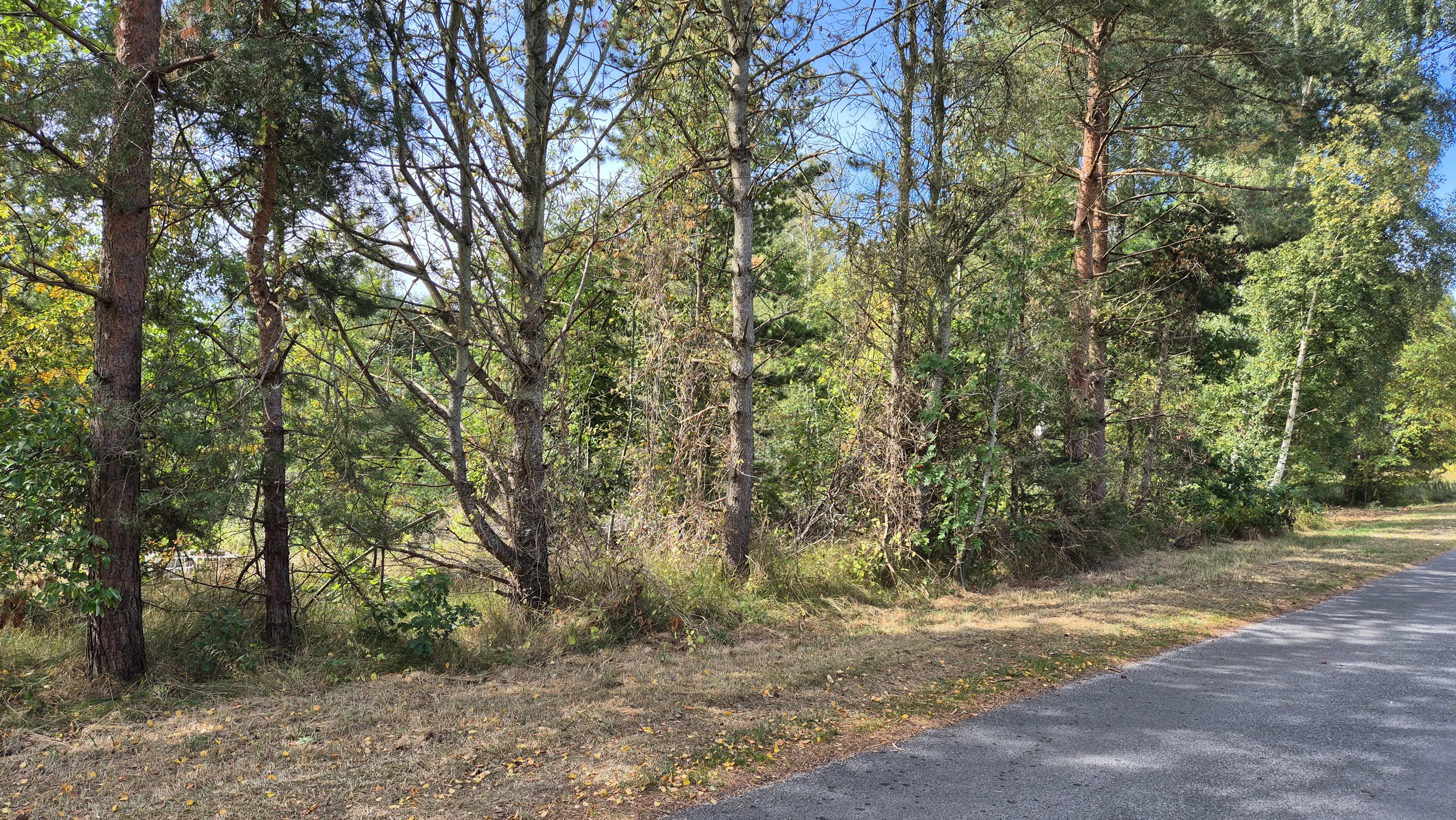 Fremhævet  billede i fuldskærmstilstand. Billede af Blåmunkevej 4, Vesterø, 9940 Læsø