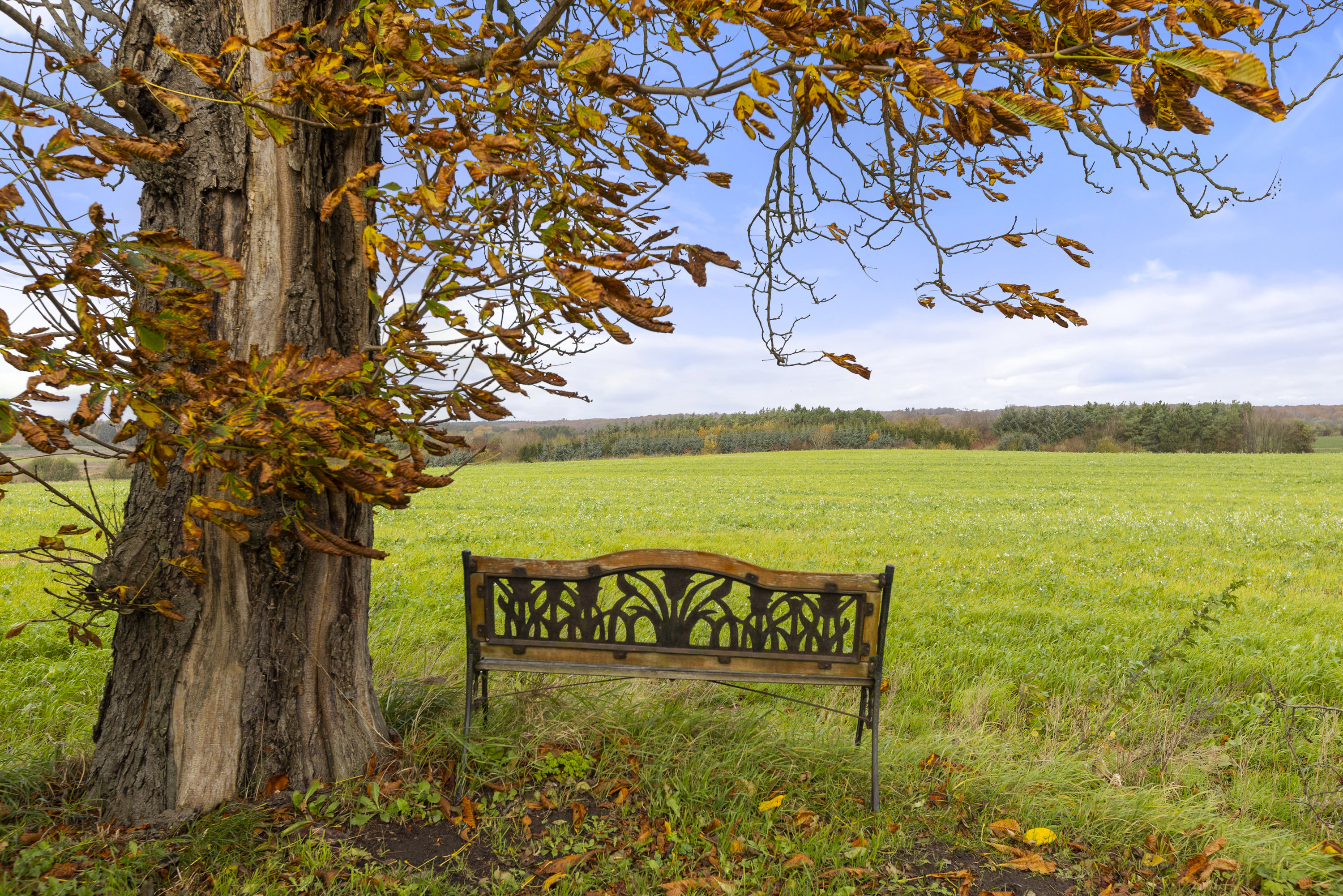Miniaturebillede 1: udsigt. Billede af Slagelse Landevej 9, Sørbymagle, 4200 Slagelse