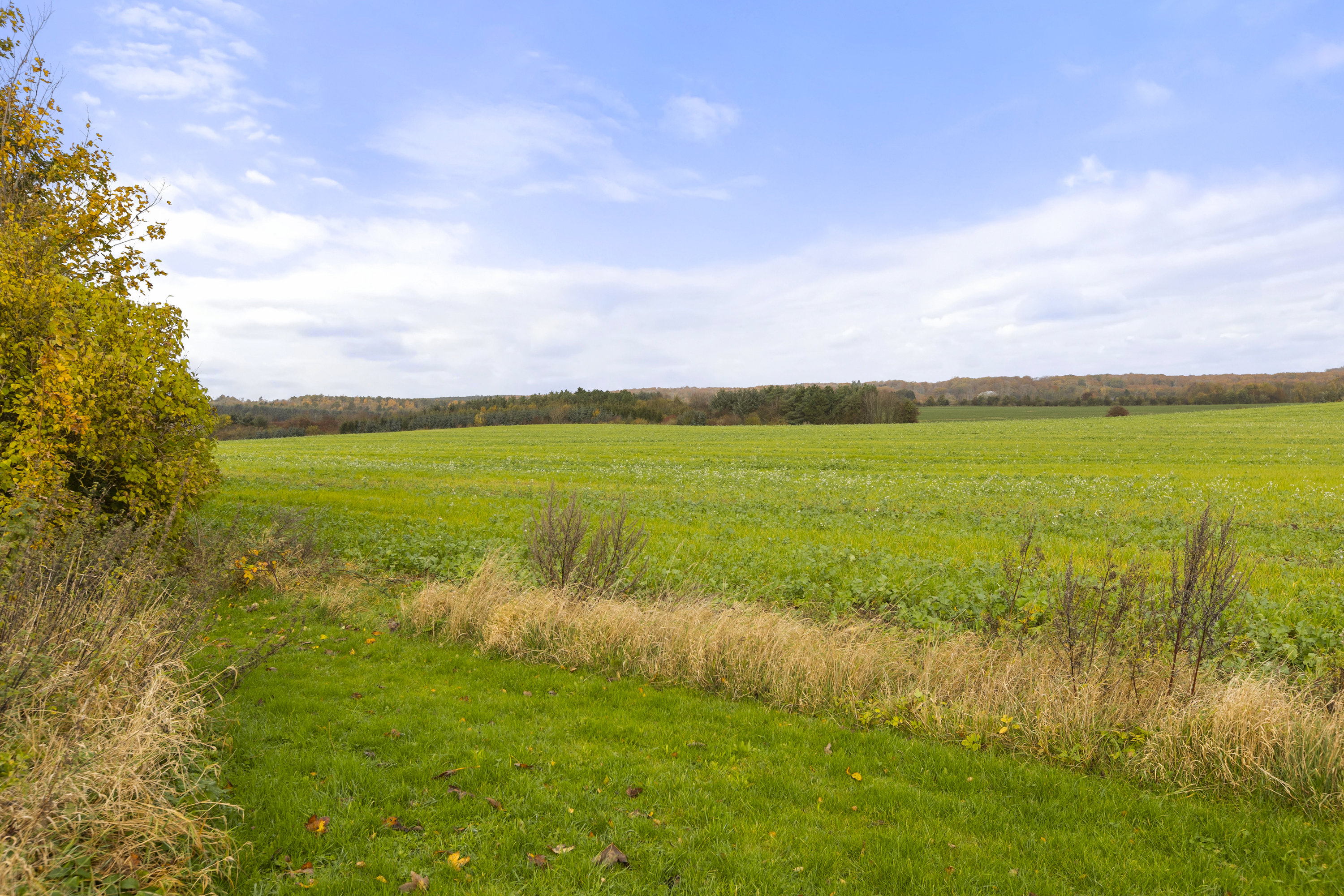 Fremhævet udsigt billede i fuldskærmstilstand. Billede af Slagelse Landevej 9, Sørbymagle, 4200 Slagelse