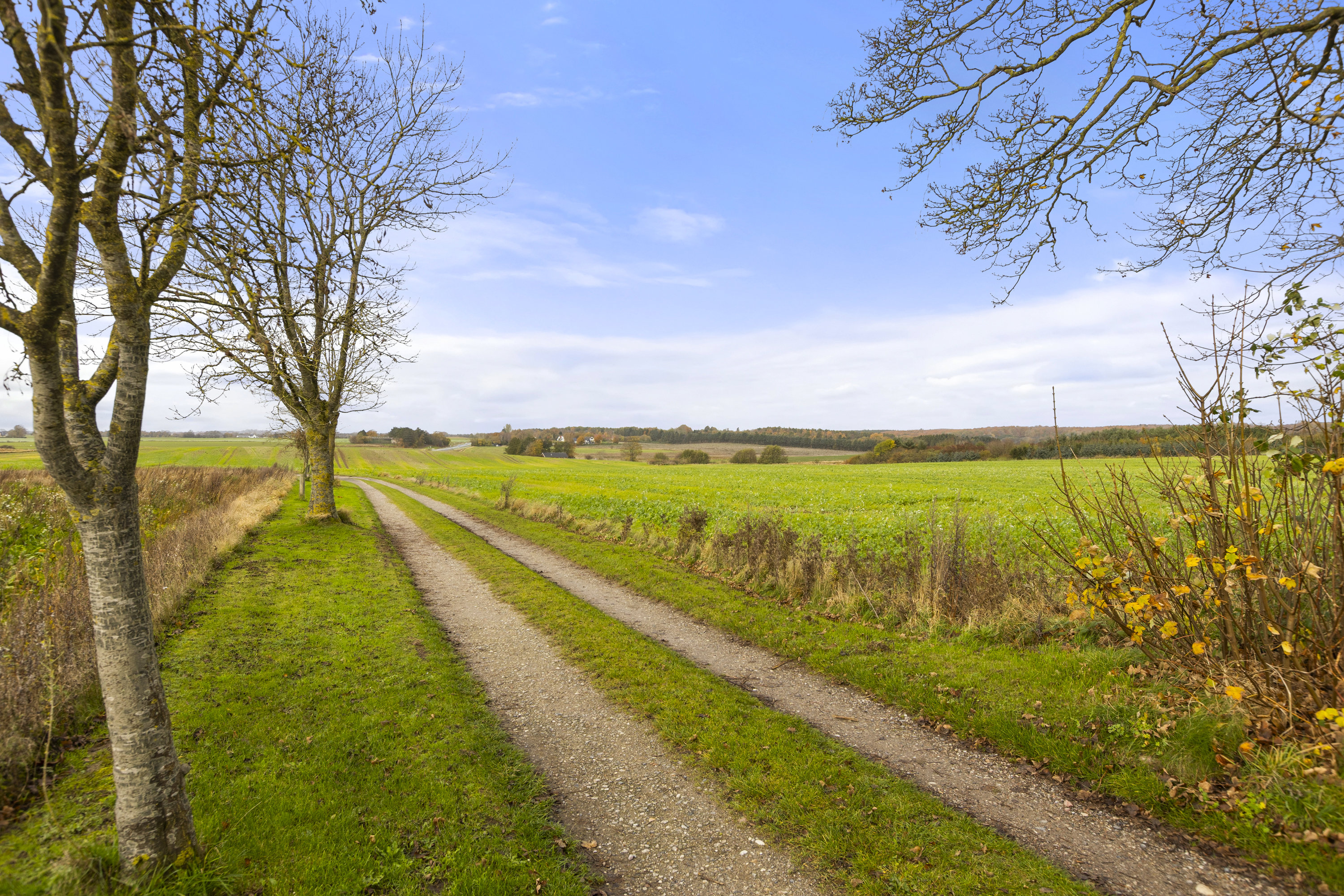 Miniaturebillede 2: indkørsel. Billede af Slagelse Landevej 9, Sørbymagle, 4200 Slagelse