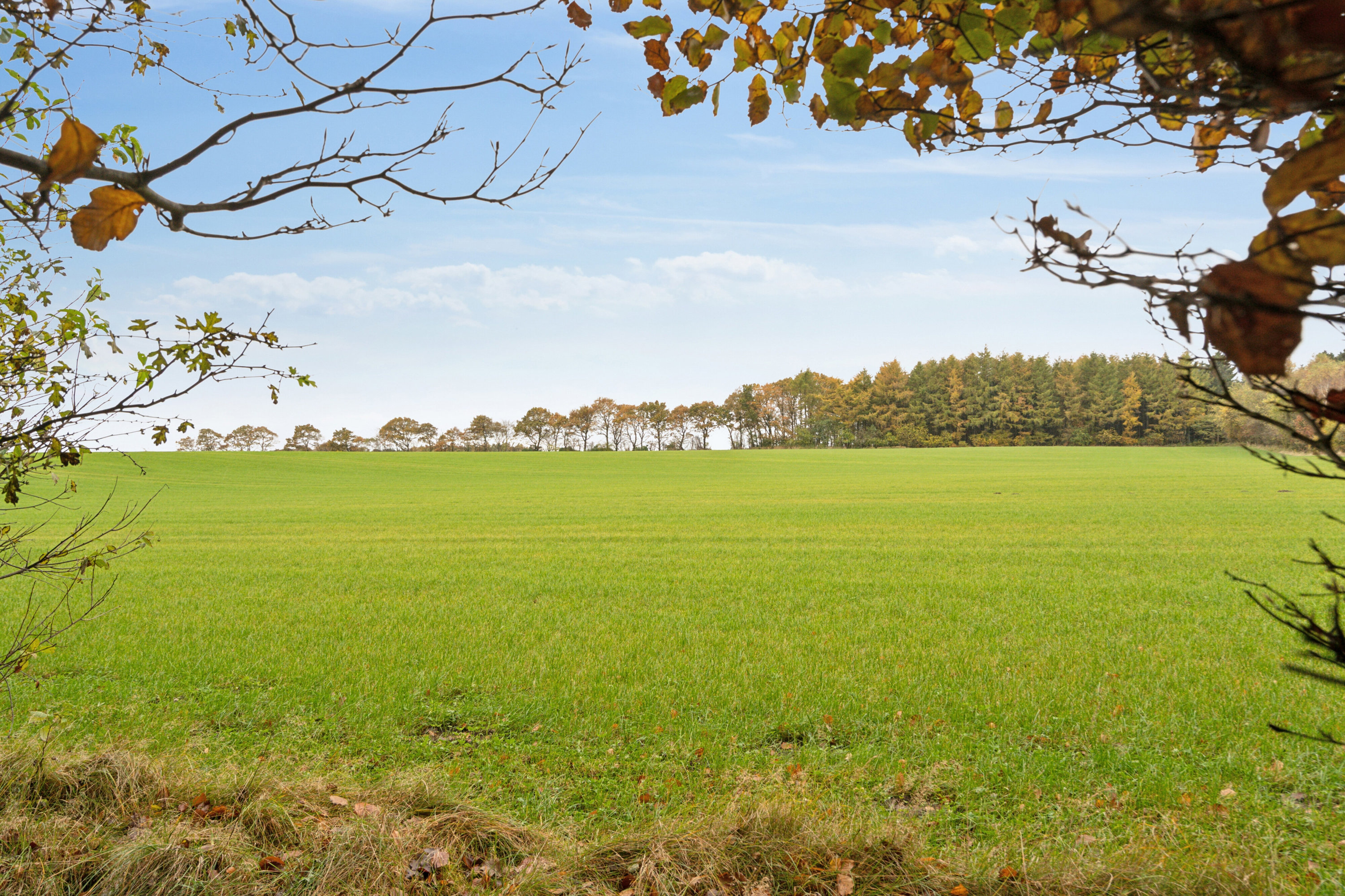 Fremhævet omgivelser billede i fuldskærmstilstand. Billede af Tågelundvej 24, 6040 Egtved