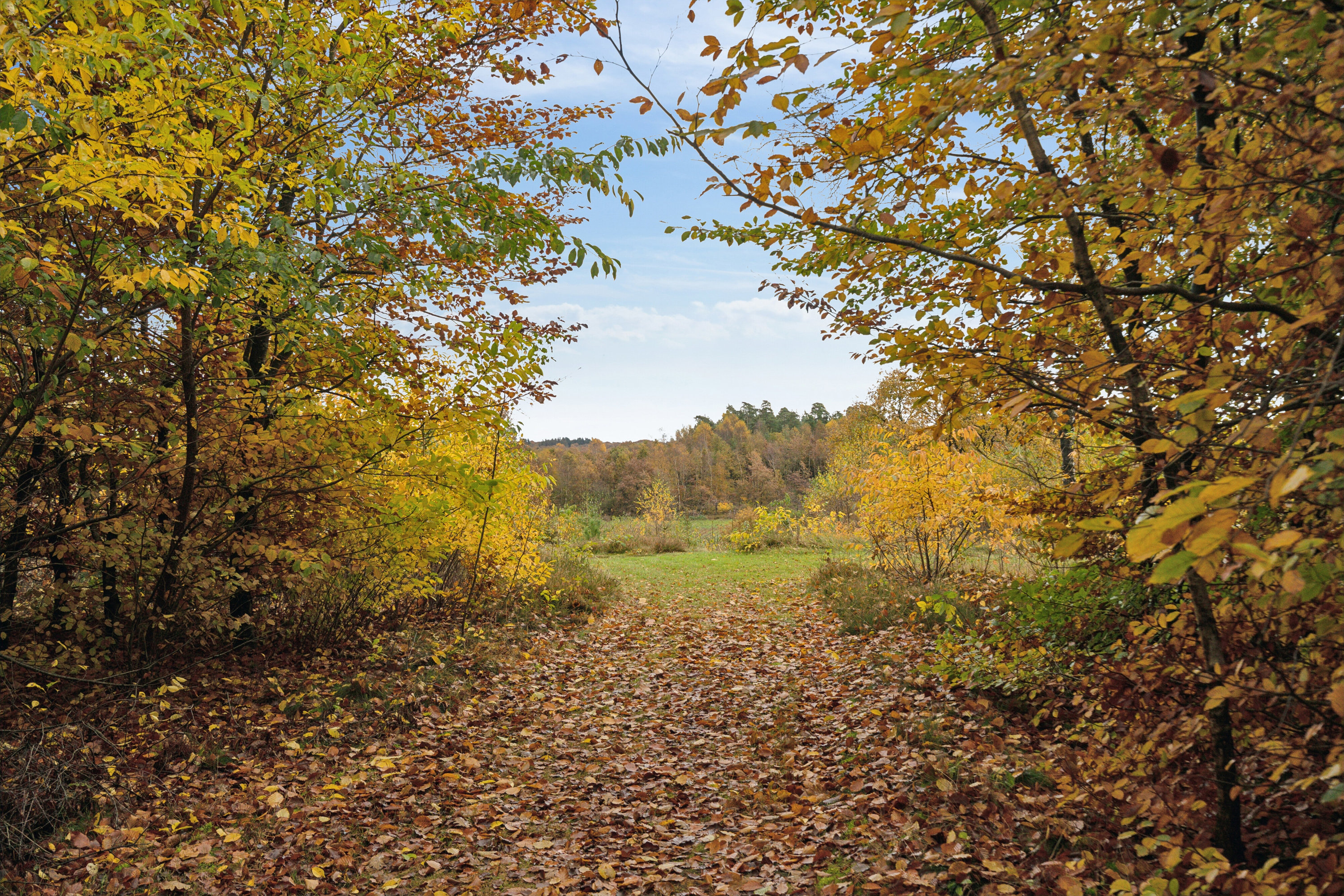 Fremhævet omgivelser billede i fuldskærmstilstand. Billede af Tågelundvej 24, 6040 Egtved