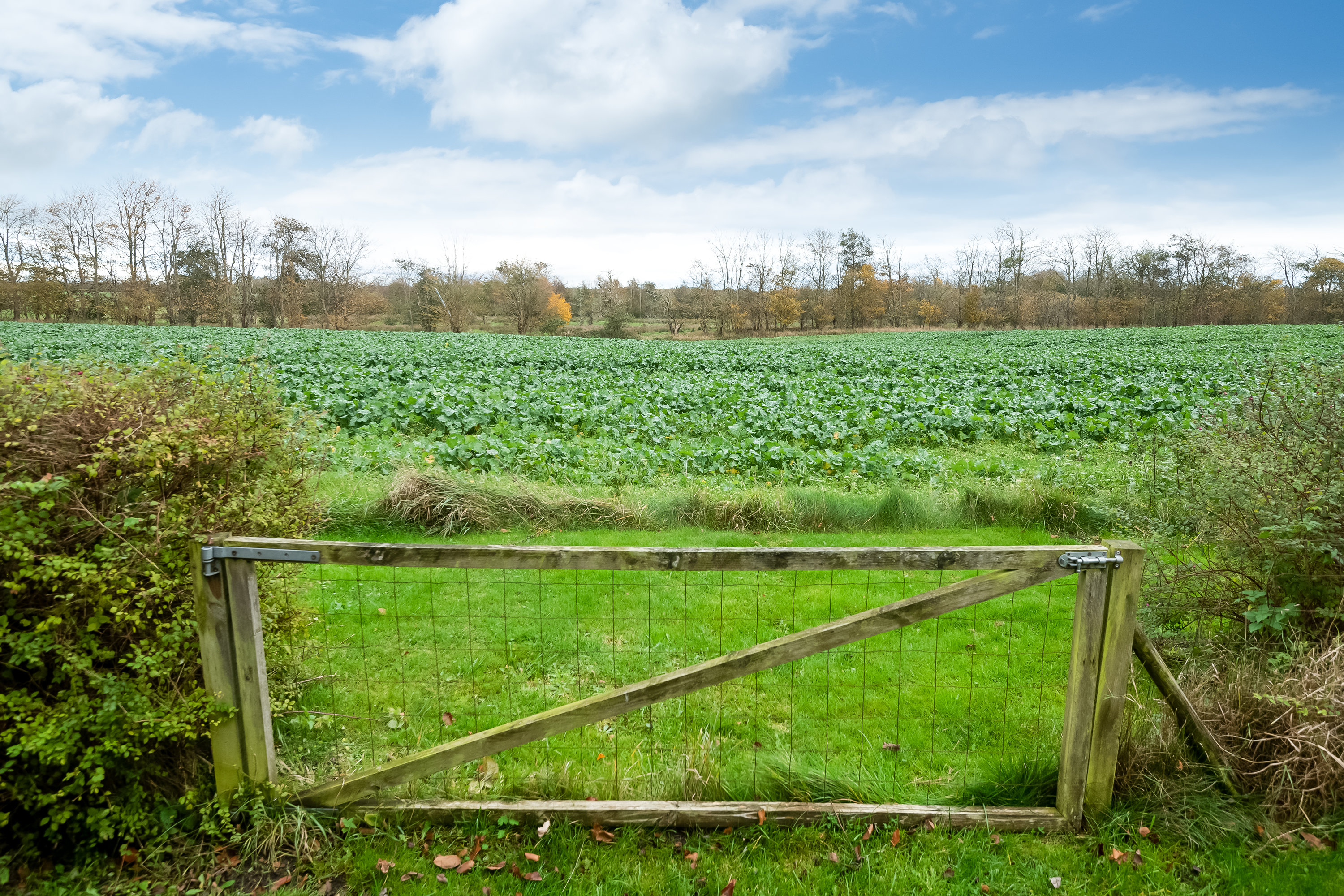 Fremhævet  billede i fuldskærmstilstand. Billede af Hegnet 15, Lørslev, 9800 Hjørring
