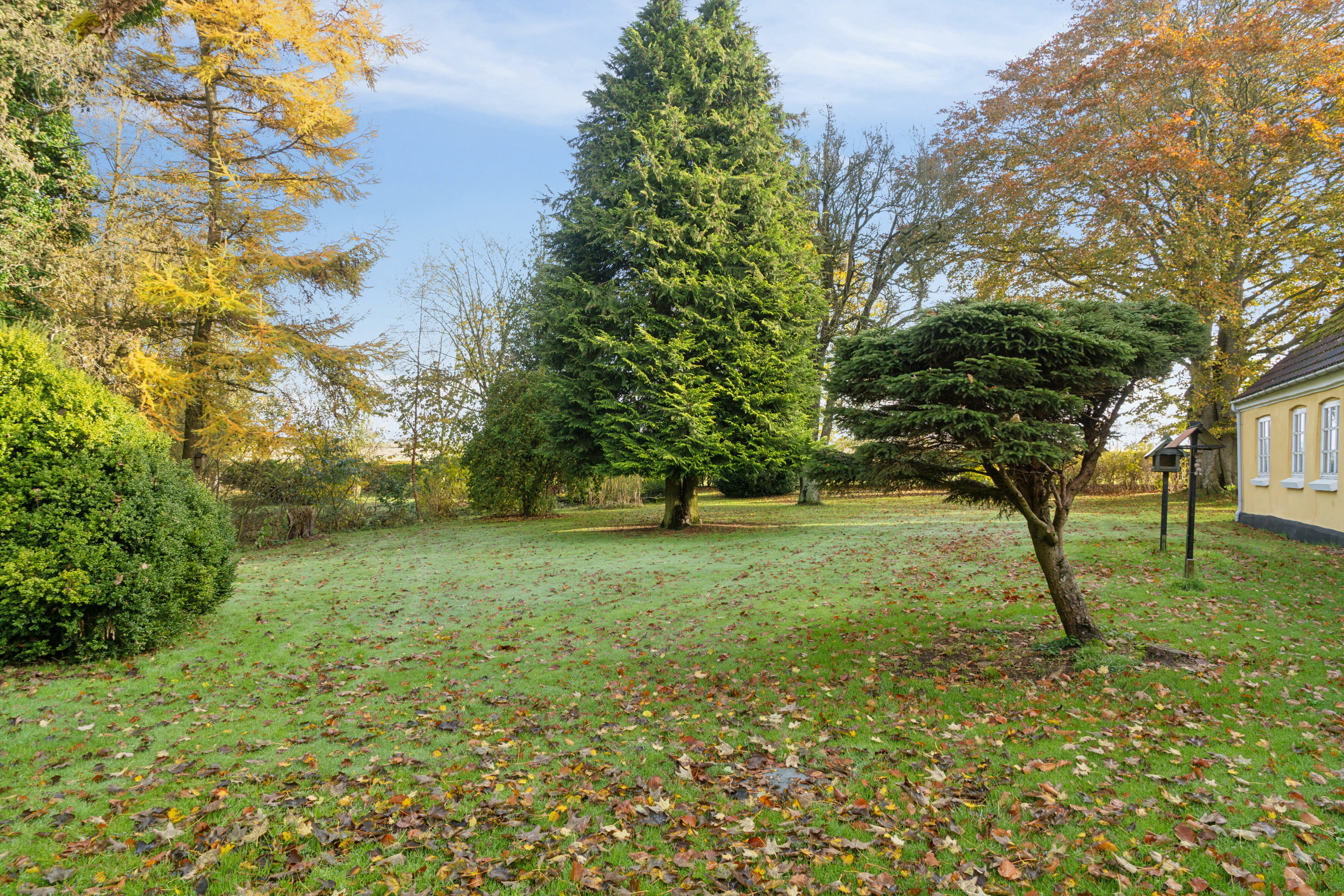 Fremhævet have billede i fuldskærmstilstand. Billede af Varmkærvej 11, Varmkær, 6040 Egtved