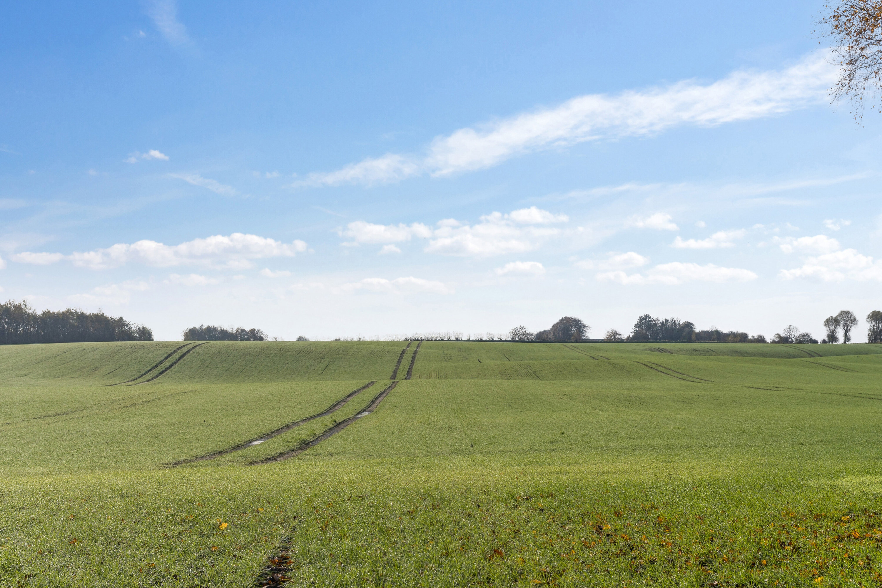 Fremhævet omgivelser billede i fuldskærmstilstand. Billede af Varmkærvej 11, Varmkær, 6040 Egtved