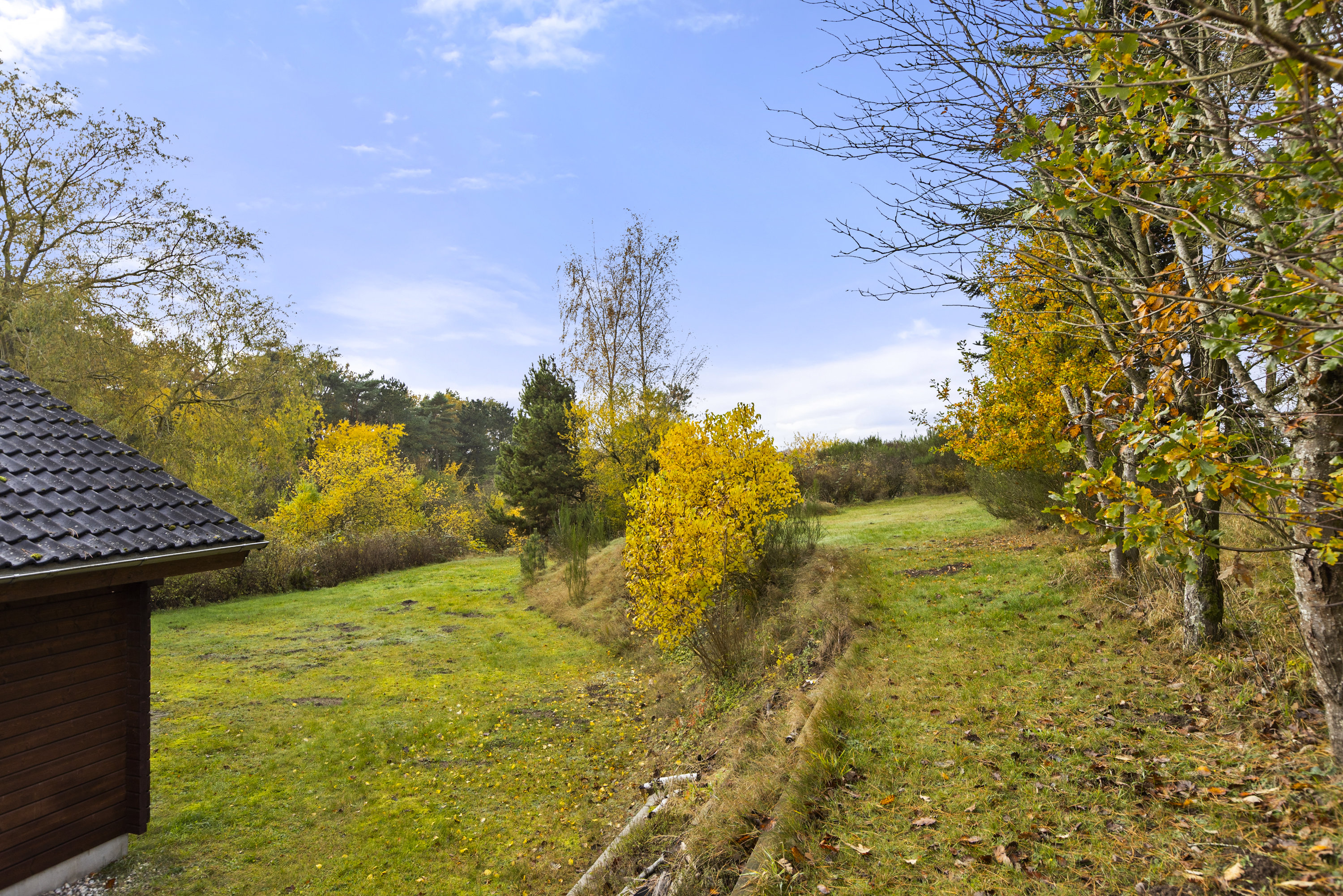 Fremhævet have billede i fuldskærmstilstand. Billede af Lille Dalbyvej 33, 4140 Borup