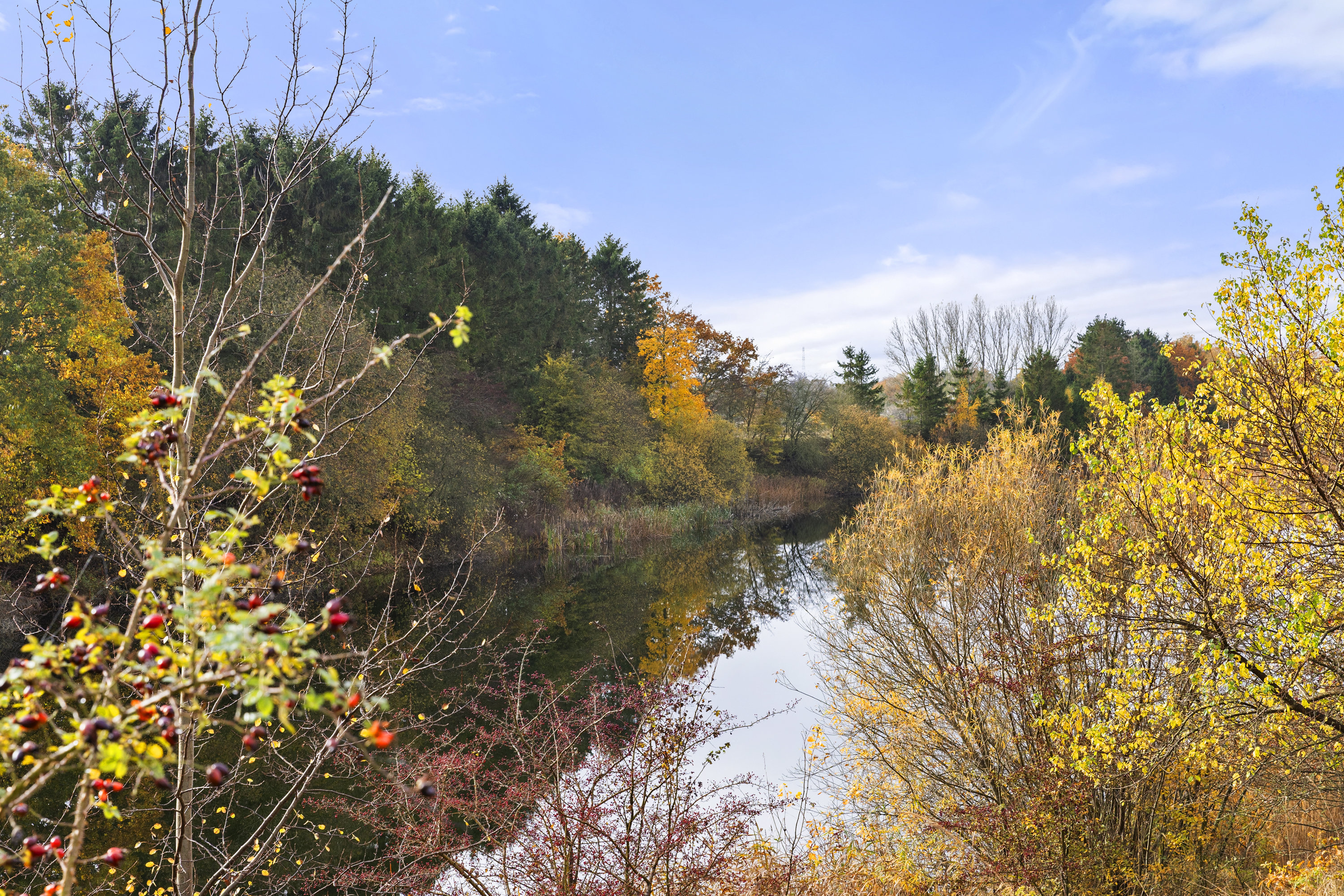 Fremhævet område billede i fuldskærmstilstand. Billede af Lille Dalbyvej 33, 4140 Borup