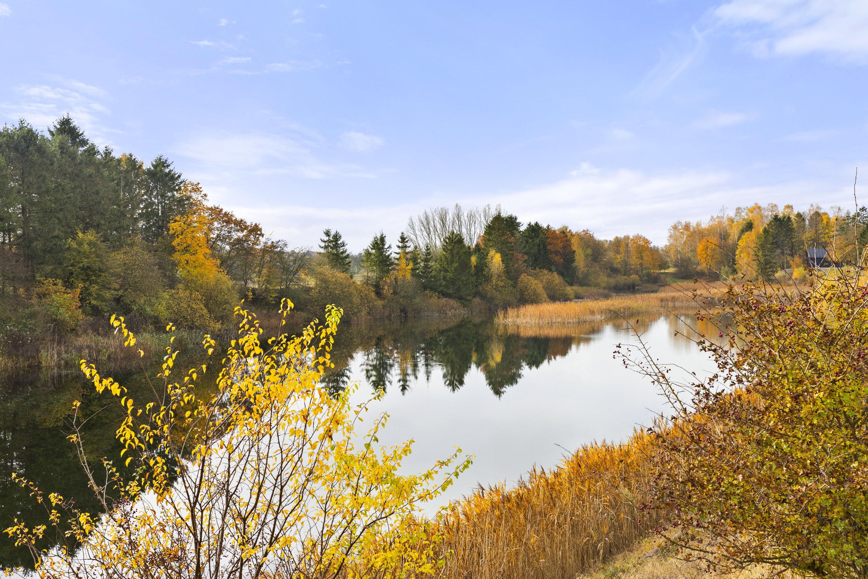 Fremhævet område billede i fuldskærmstilstand. Billede af Lille Dalbyvej 33, 4140 Borup