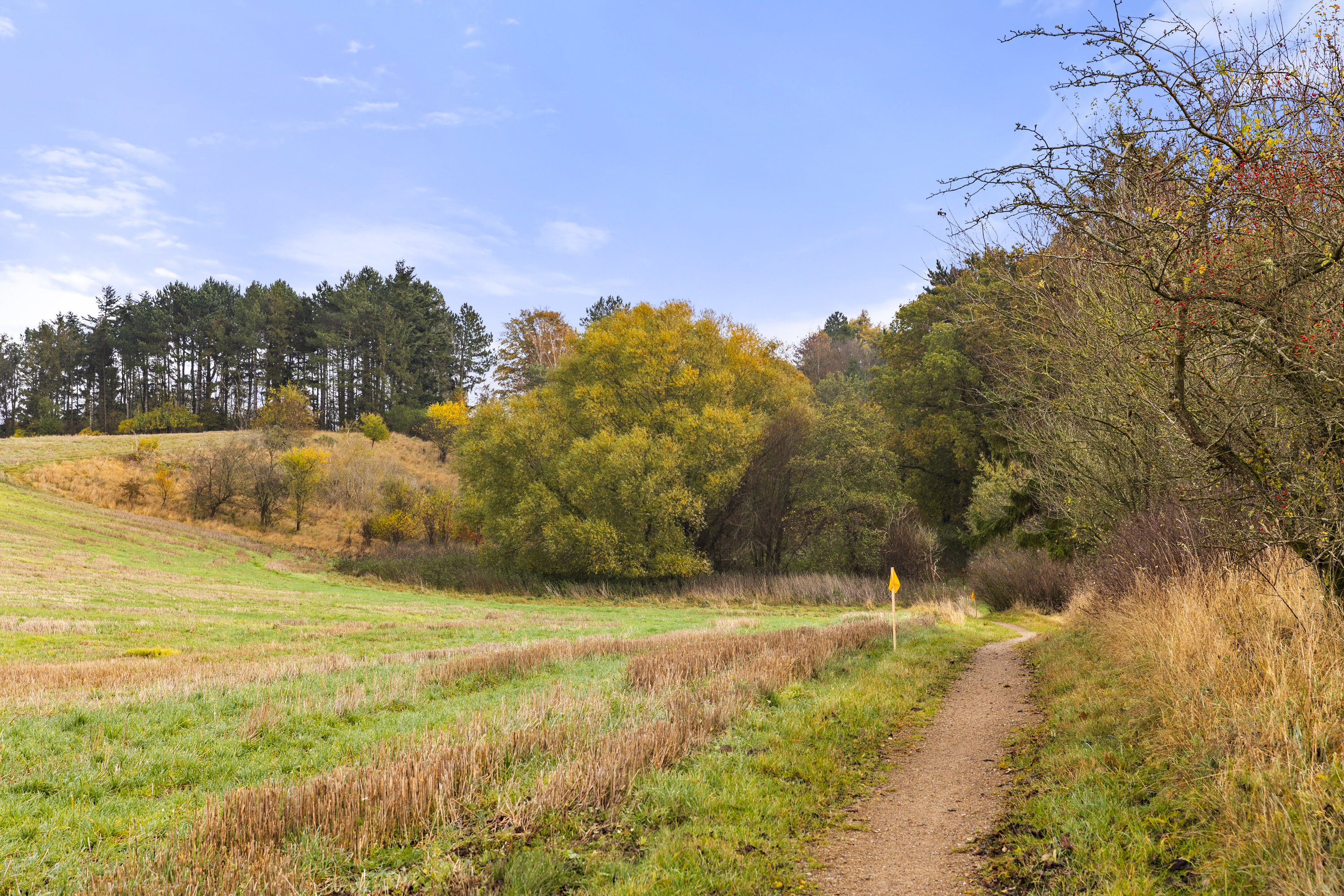 Fremhævet område billede i fuldskærmstilstand. Billede af Lille Dalbyvej 33, 4140 Borup