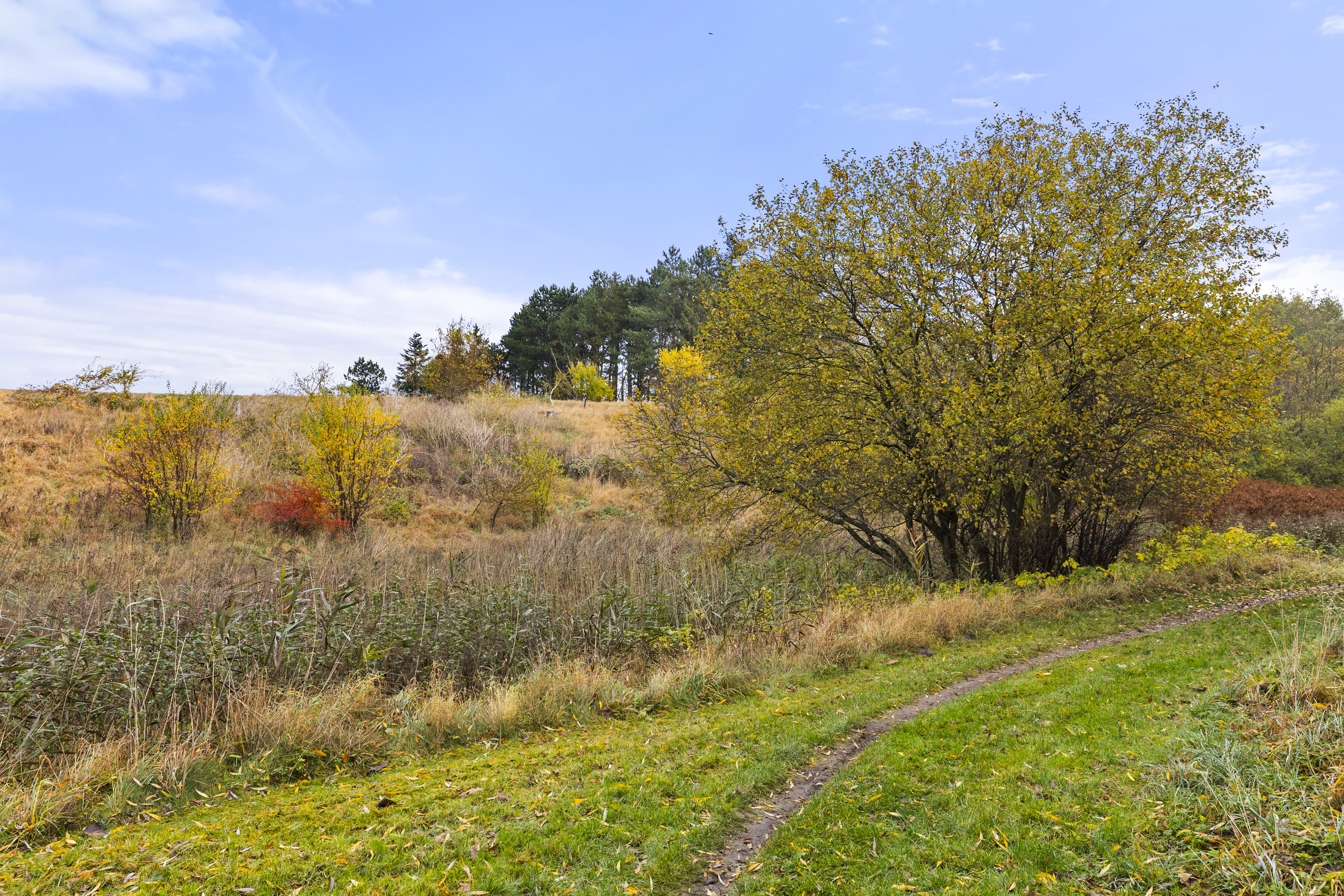 Fremhævet område billede i fuldskærmstilstand. Billede af Lille Dalbyvej 33, 4140 Borup