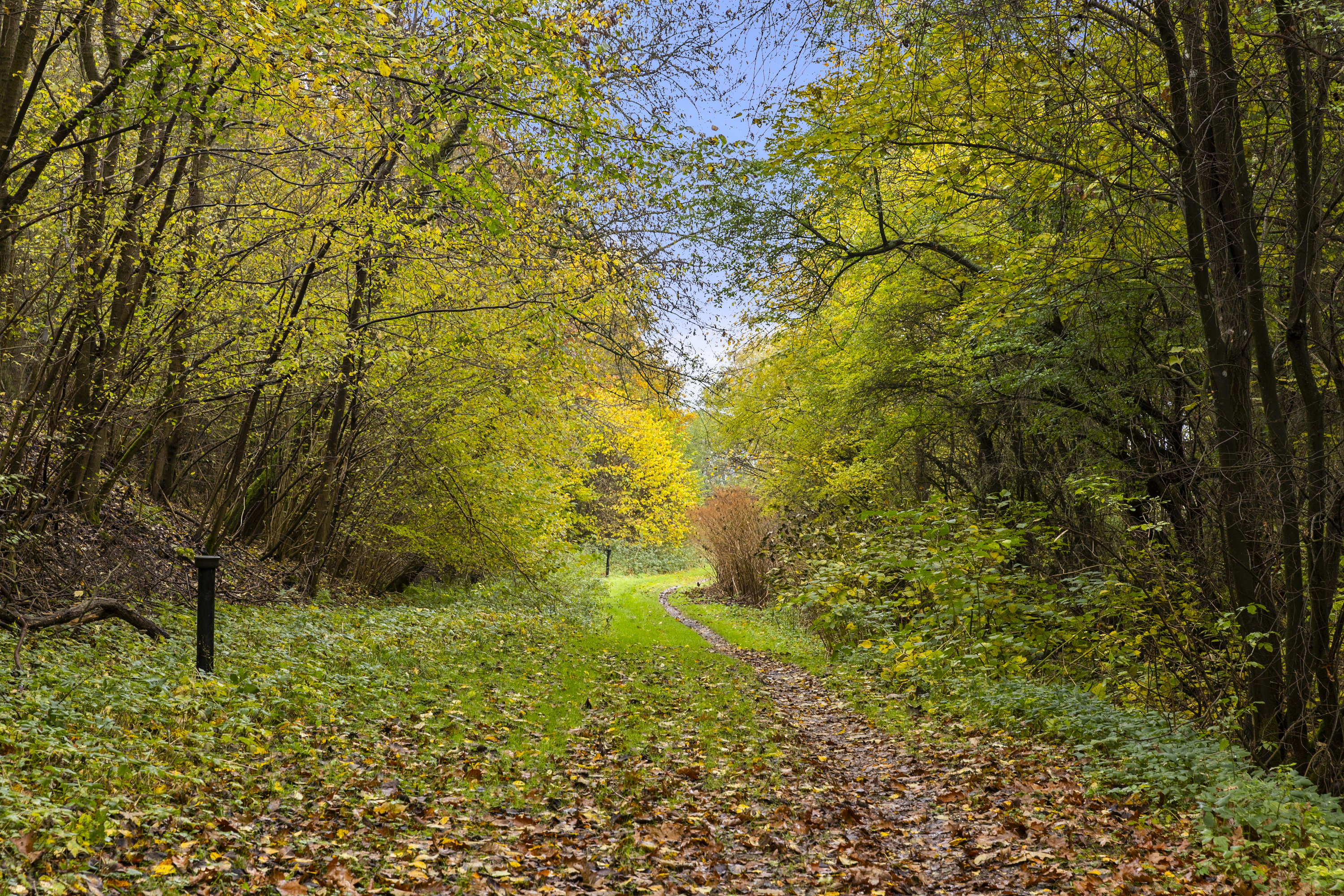 Fremhævet område billede i fuldskærmstilstand. Billede af Lille Dalbyvej 33, 4140 Borup