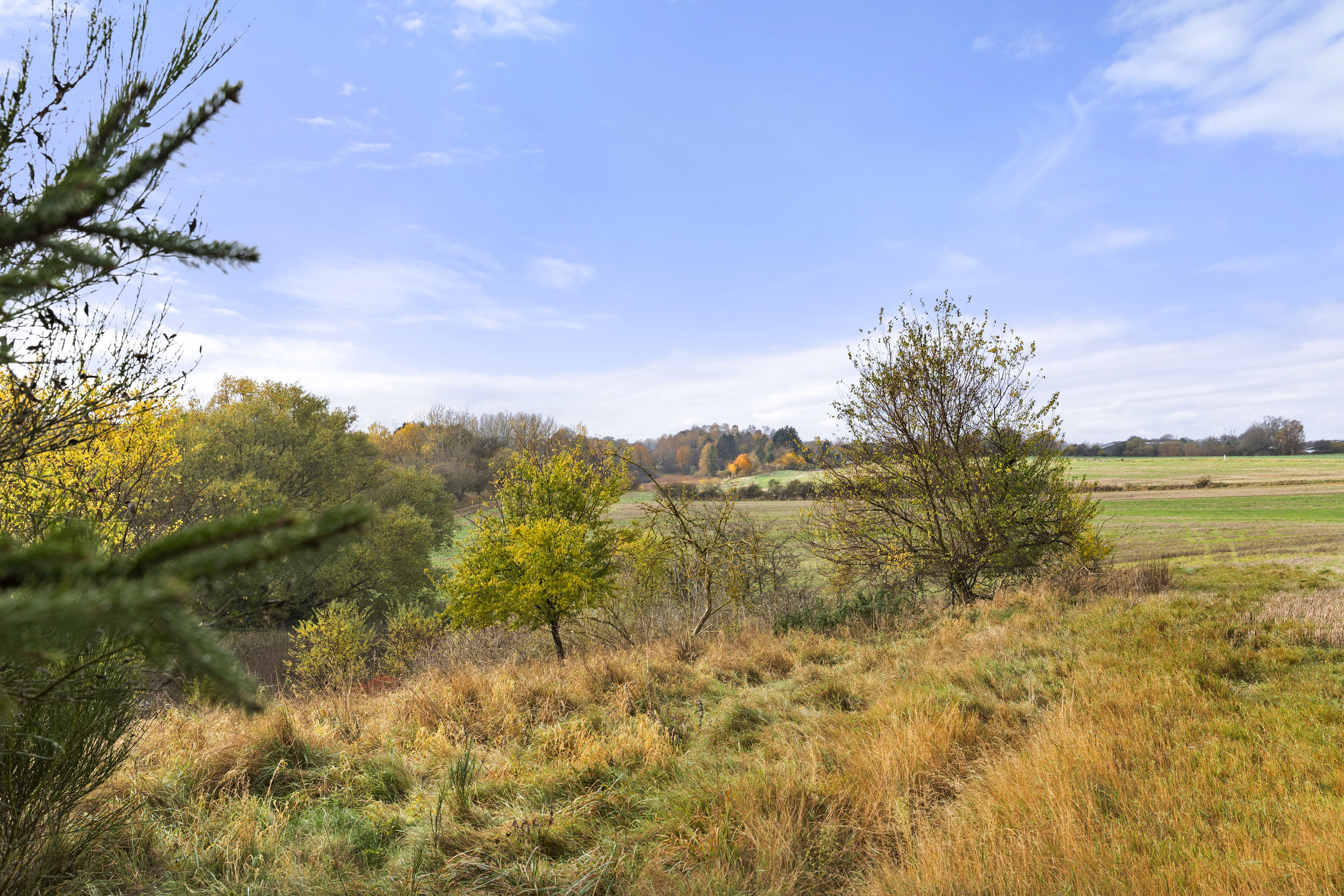 Fremhævet område billede i fuldskærmstilstand. Billede af Lille Dalbyvej 33, 4140 Borup