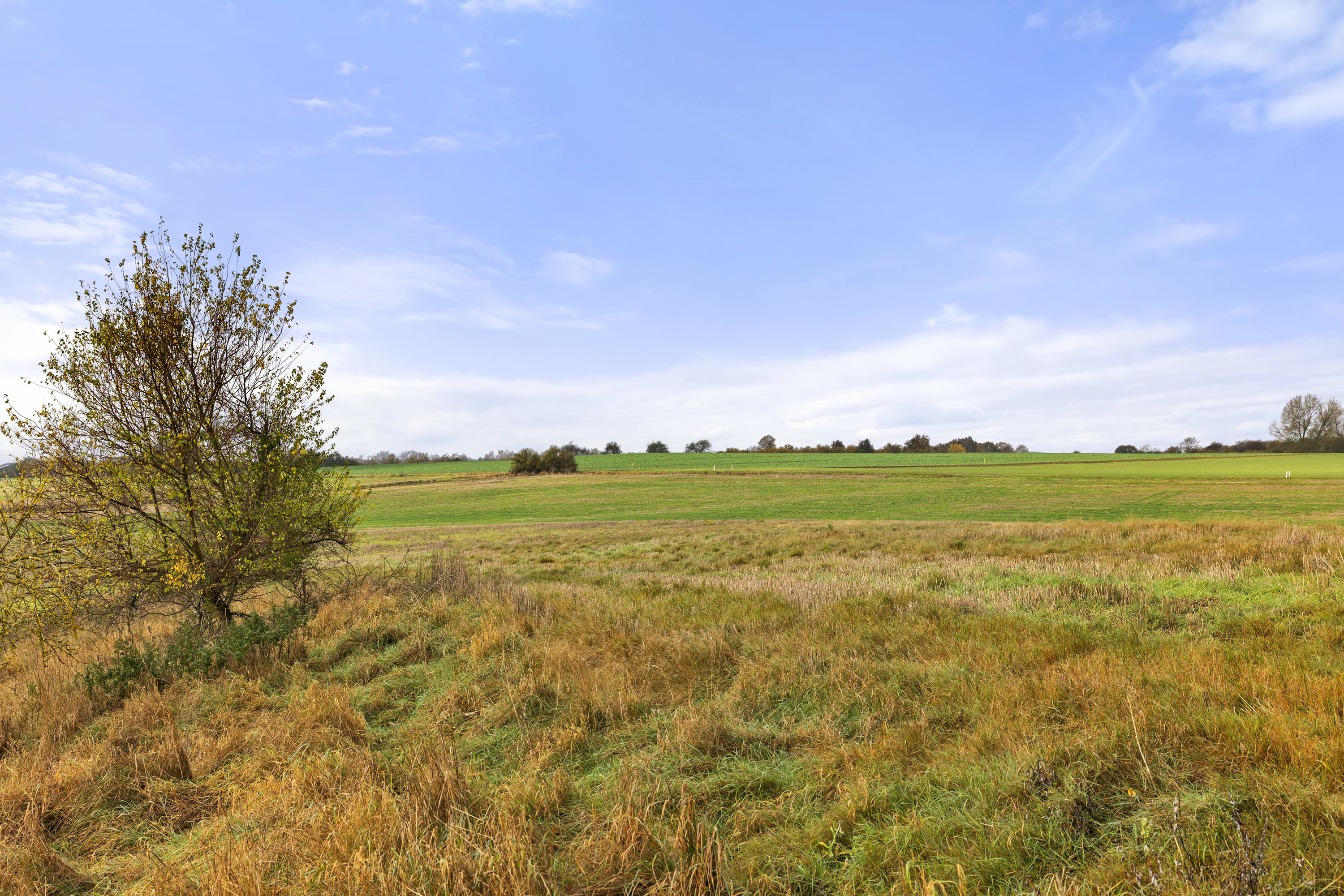Fremhævet område billede i fuldskærmstilstand. Billede af Lille Dalbyvej 33, 4140 Borup
