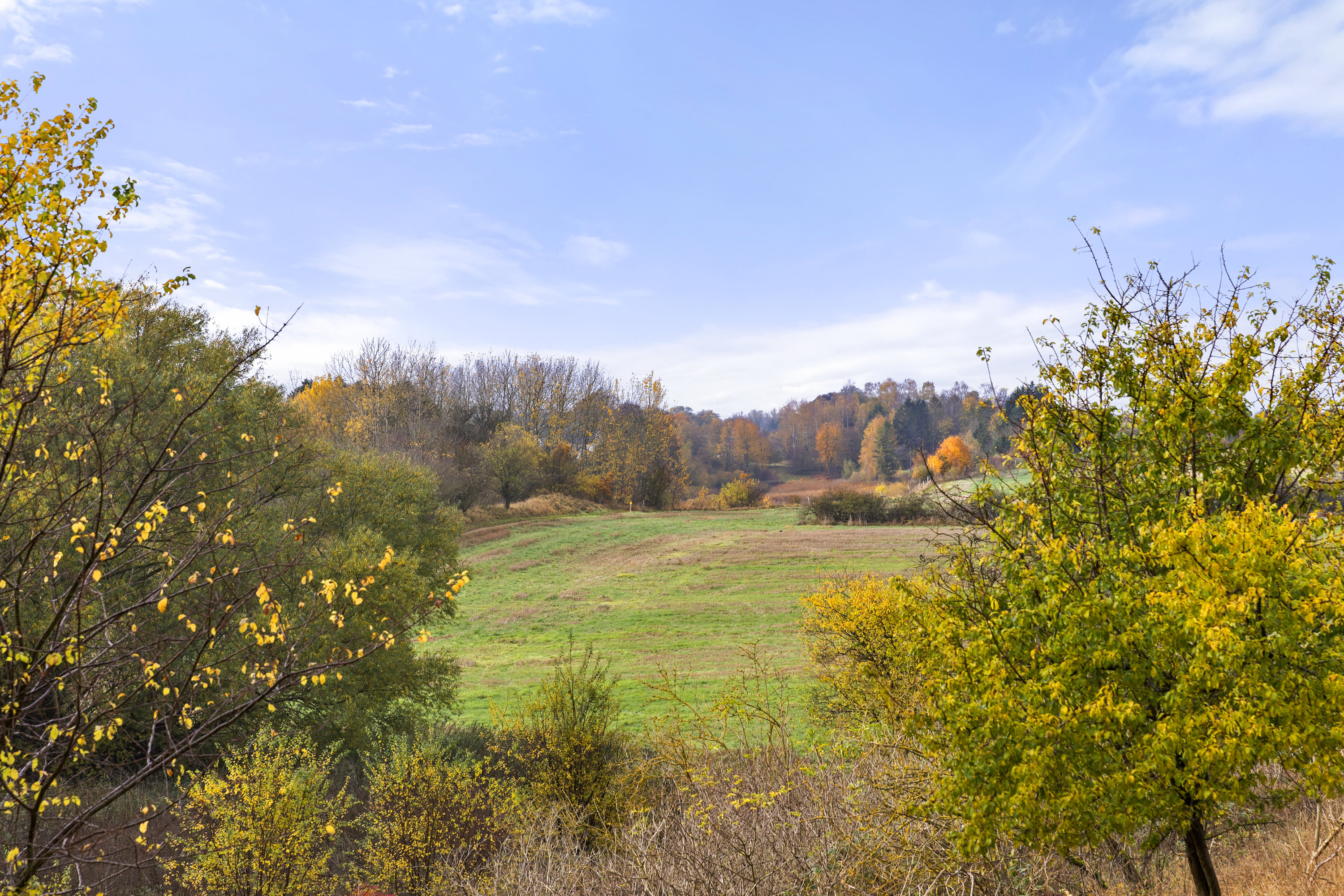 Fremhævet område billede i fuldskærmstilstand. Billede af Lille Dalbyvej 33, 4140 Borup