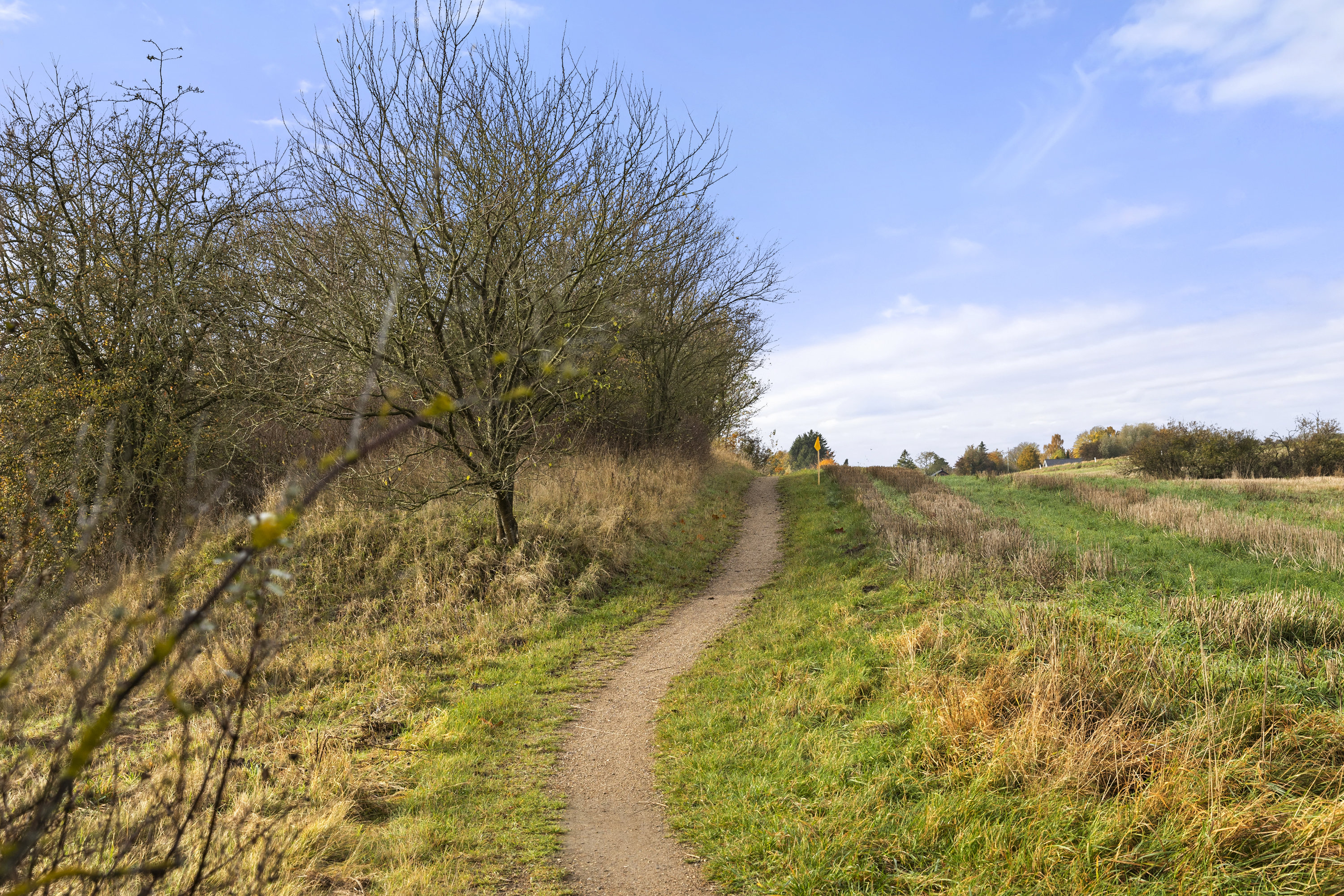 Fremhævet område billede i fuldskærmstilstand. Billede af Lille Dalbyvej 33, 4140 Borup