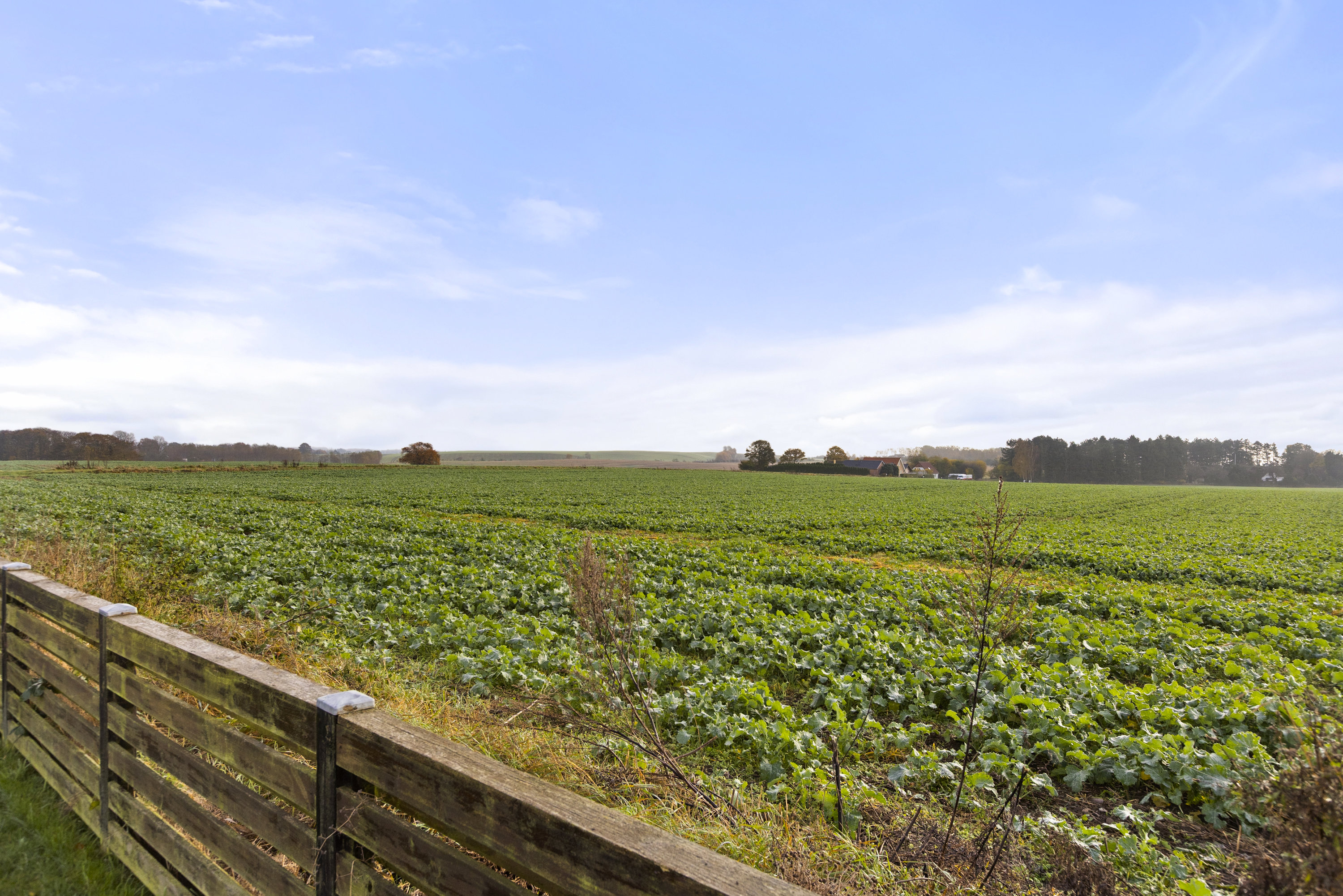 Fremhævet udsigt billede i fuldskærmstilstand. Billede af Roskildevej 410, Ortved, 4100 Ringsted