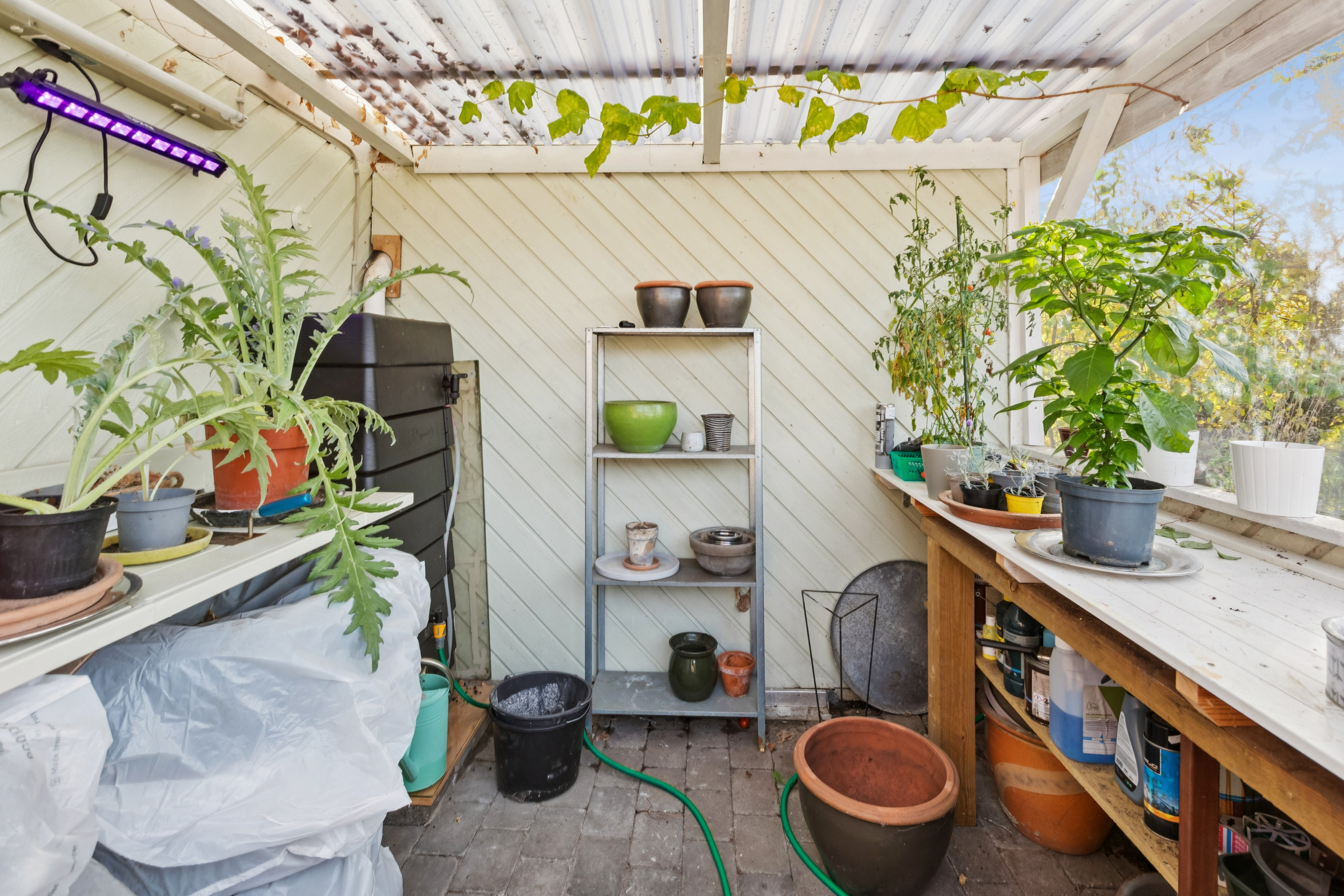 Fremhævet værelse billede i fuldskærmstilstand. Billede af Kagsåvej 29, 2860 Søborg