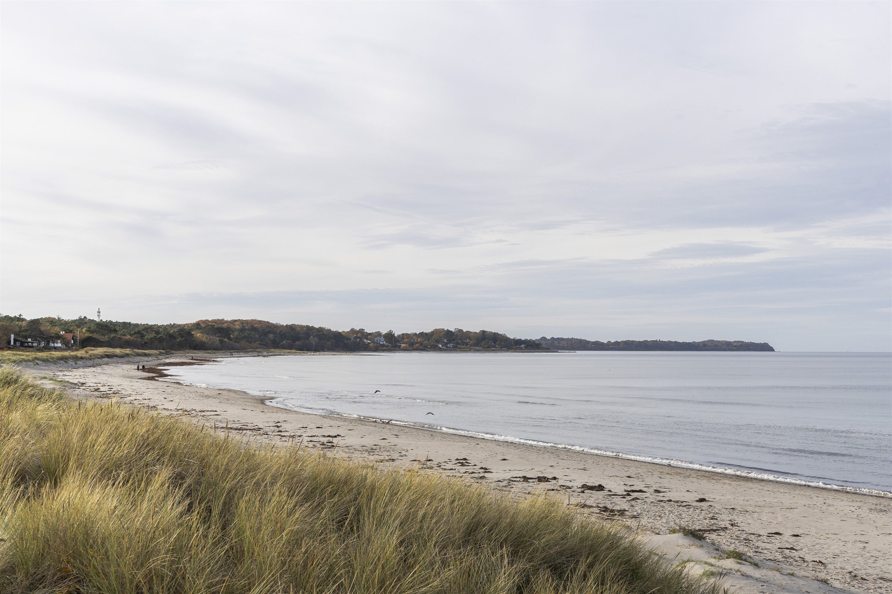 Fremhævet strand billede i fuldskærmstilstand. Billede af Kystvej 20, 1. 5., 3100 Hornbæk
