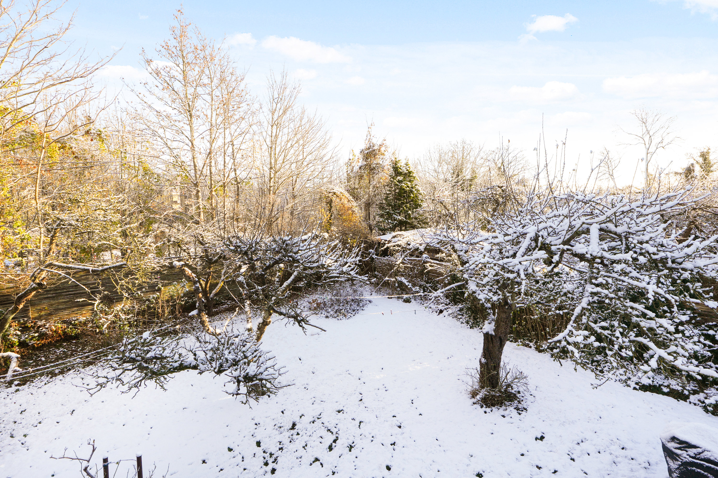 Fremhævet andet billede i fuldskærmstilstand. Billede af Viadukt Alle 14, 2900 Hellerup