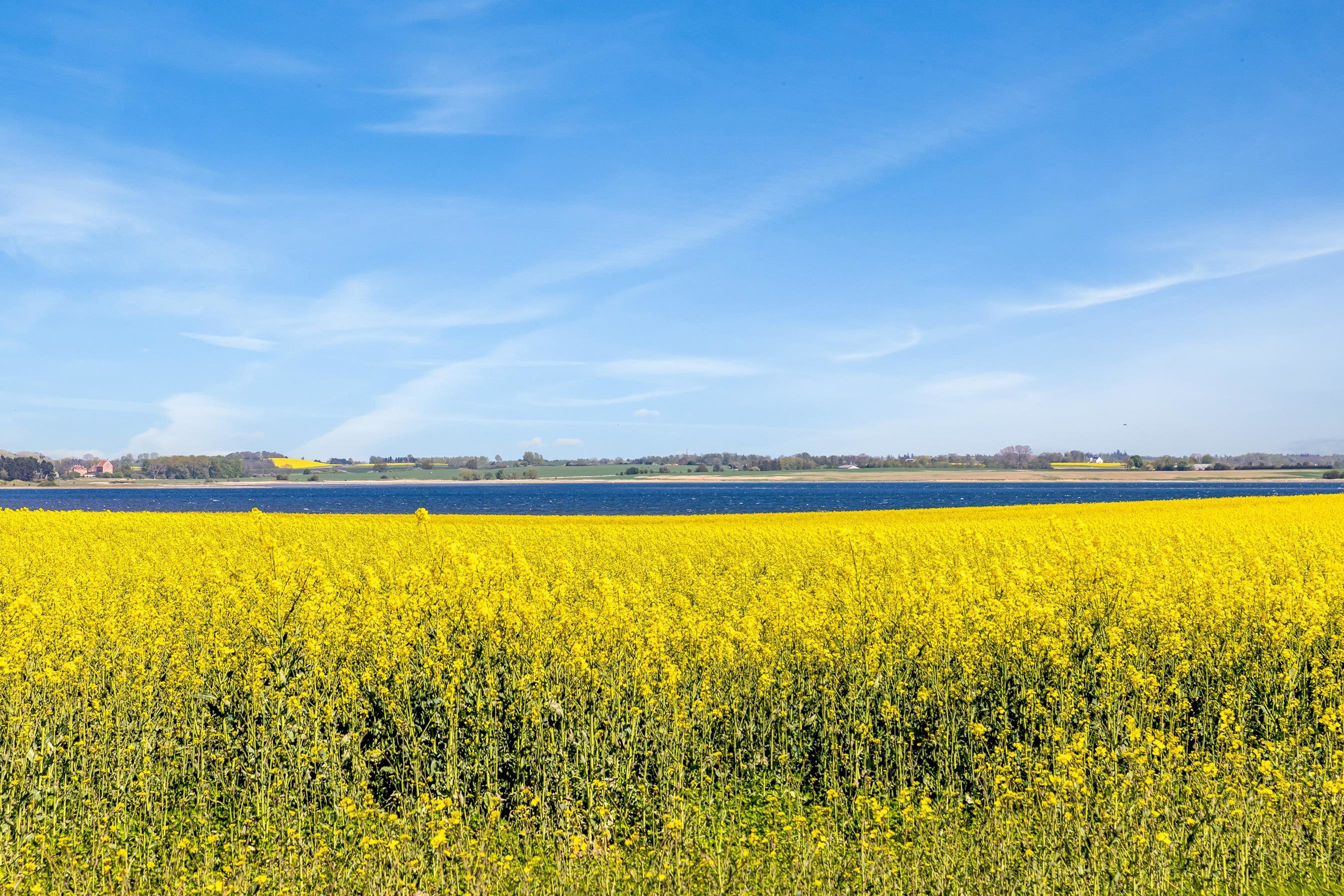 Fremhævet  billede i fuldskærmstilstand. Billede af Harekærgårdsvej 29, Gershøj, 4070 Kirke Hyllinge