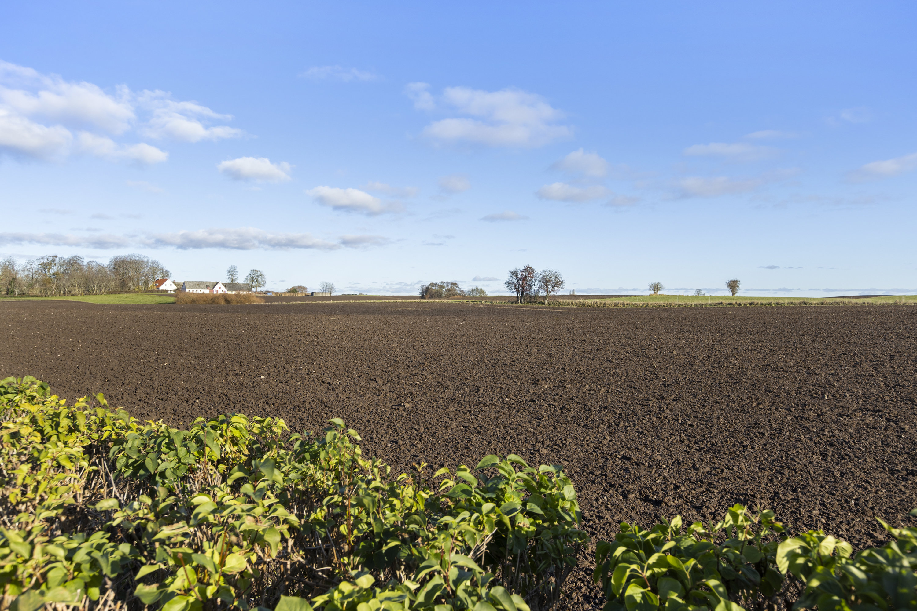 Fremhævet udsigt billede i fuldskærmstilstand. Billede af Nordmandsvænget 29, 4050 Skibby