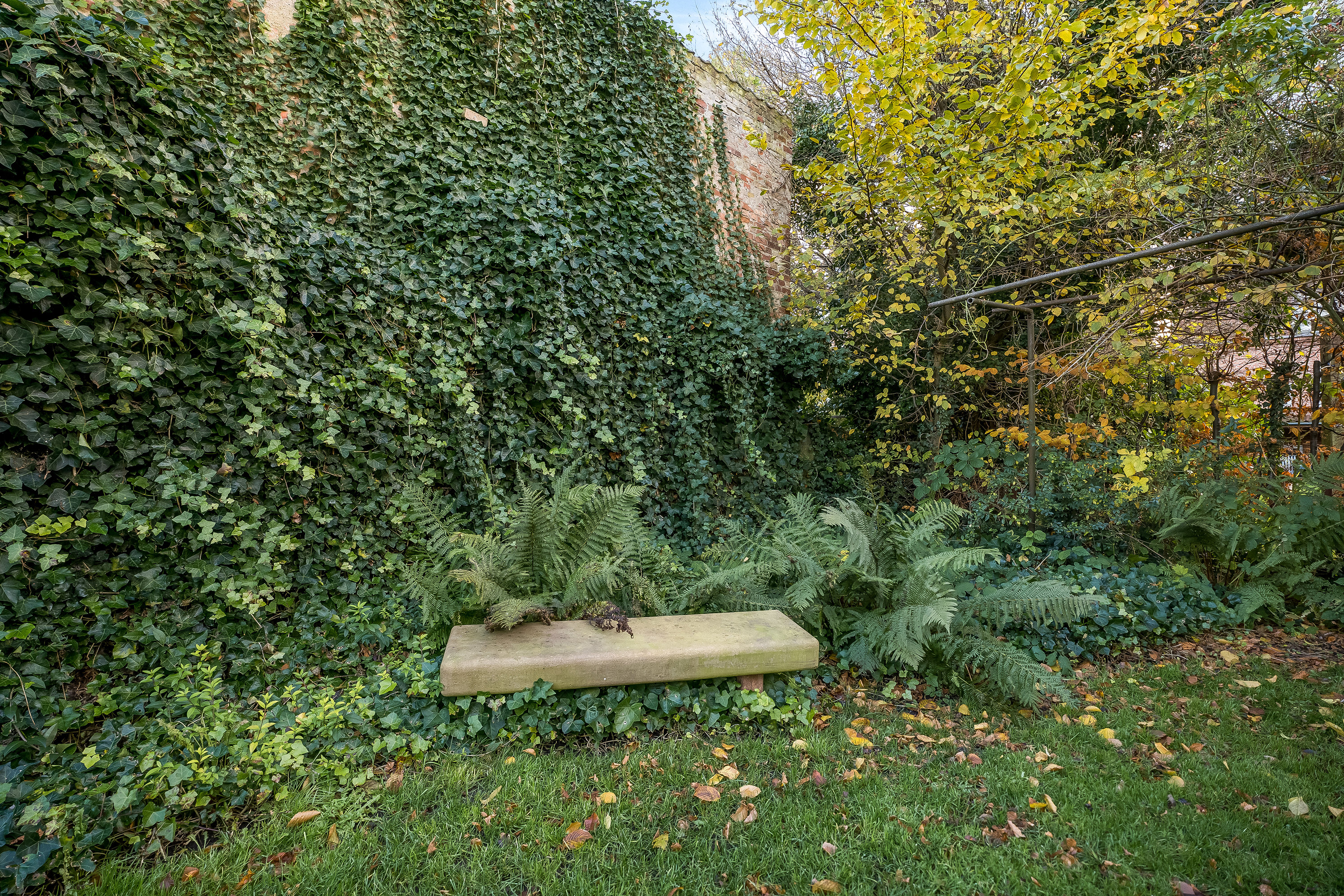 Fremhævet have billede i fuldskærmstilstand. Billede af Helgolandsgade 8, 4800 Nykøbing F