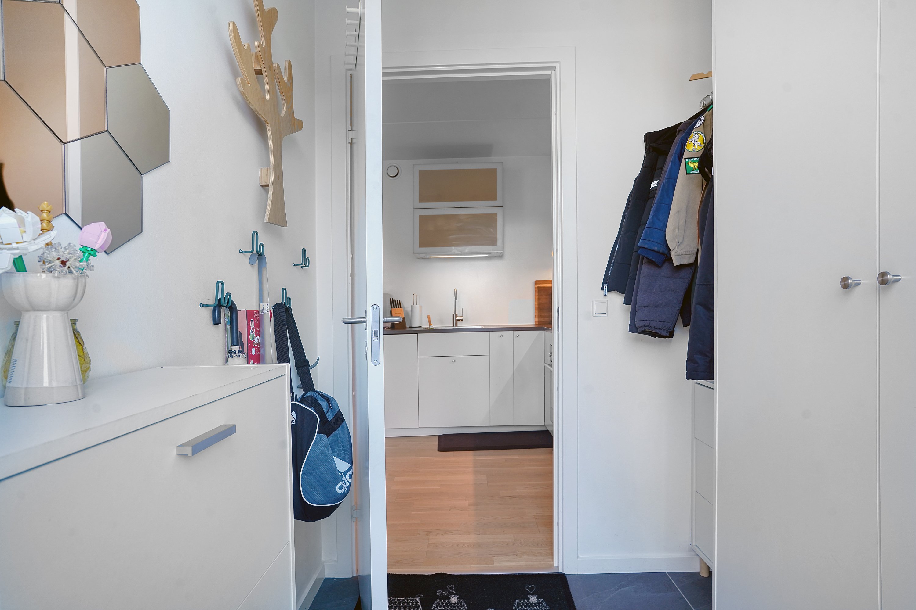 Fremhævet entré billede i fuldskærmstilstand. Billede af Cirkelbuen 91, 3400 Hillerød