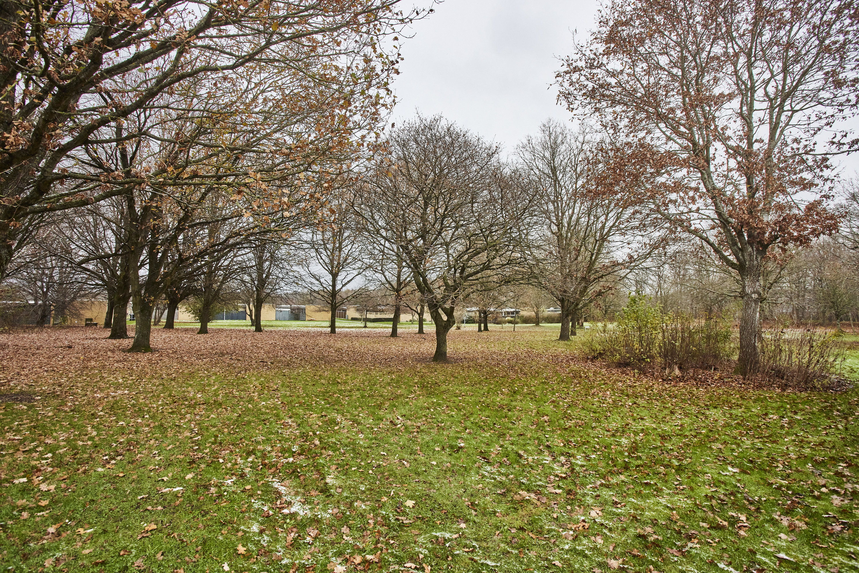 Fremhævet have billede i fuldskærmstilstand. Billede af Hyrdebakken 80, 8800 Viborg