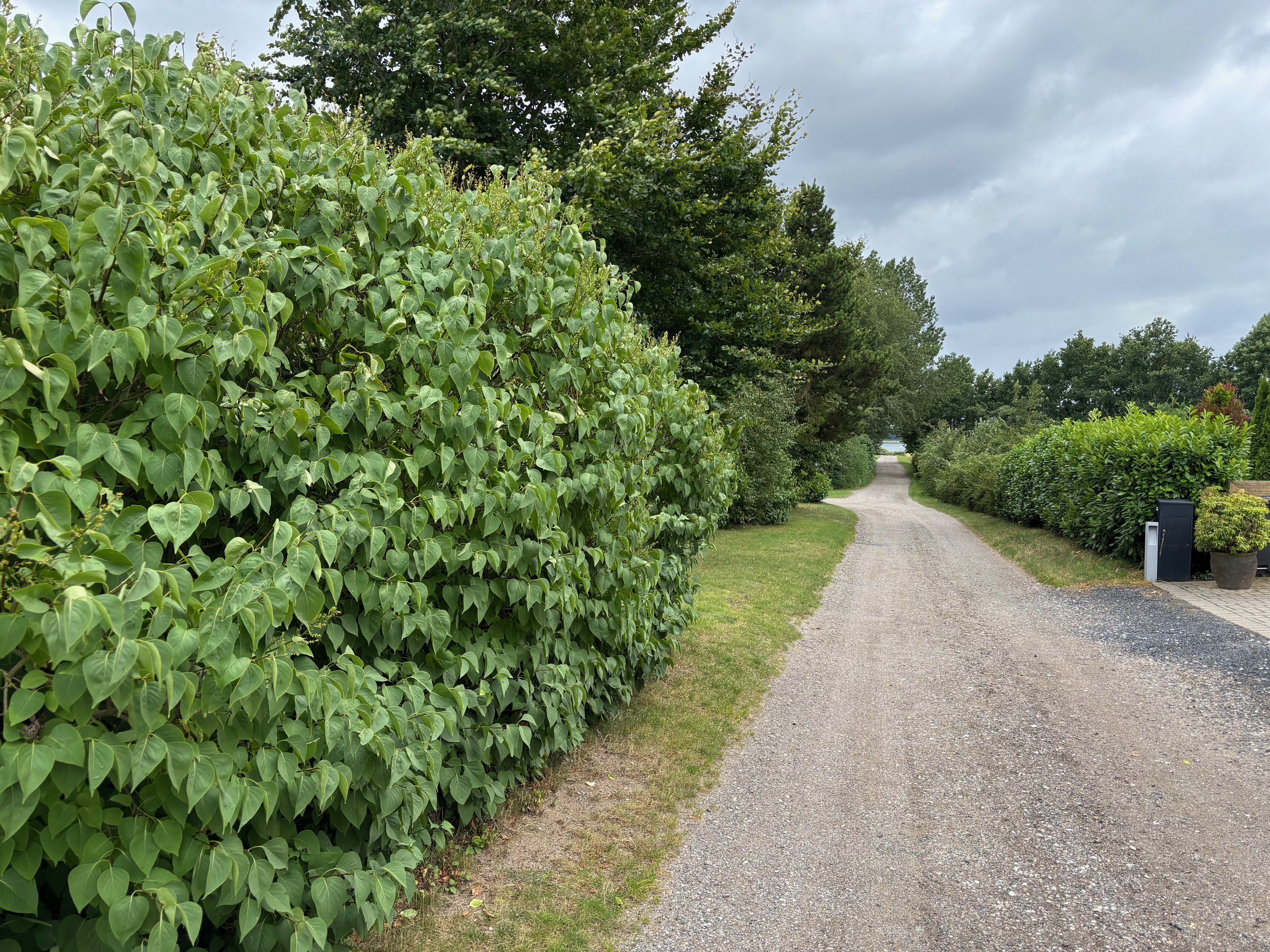 Fremhævet  billede i fuldskærmstilstand. Billede af Dalvej 33, 4760 Vordingborg