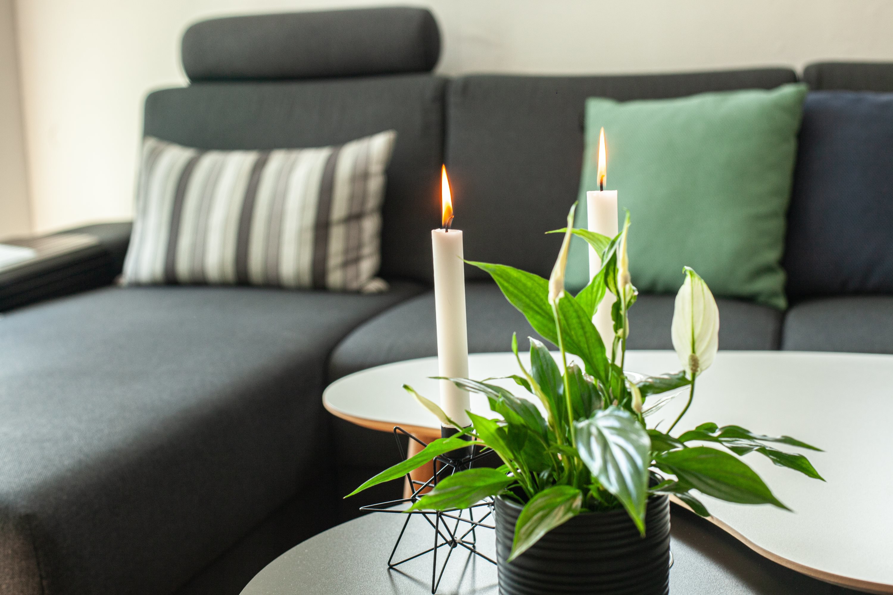 Fremhævet  billede i fuldskærmstilstand. Billede af Hvidtjørnen 4, 8800 Viborg