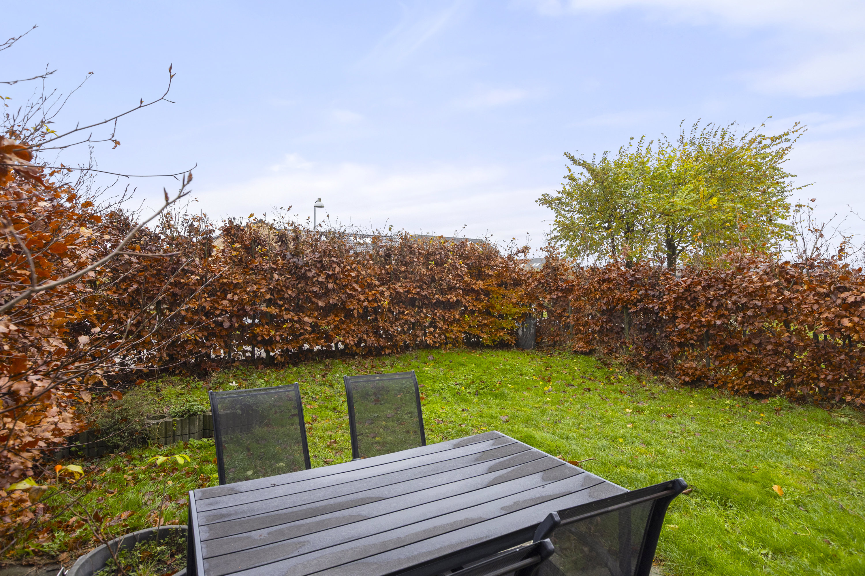 Fremhævet have billede i fuldskærmstilstand. Billede af Lavetten 9B, 4100 Ringsted