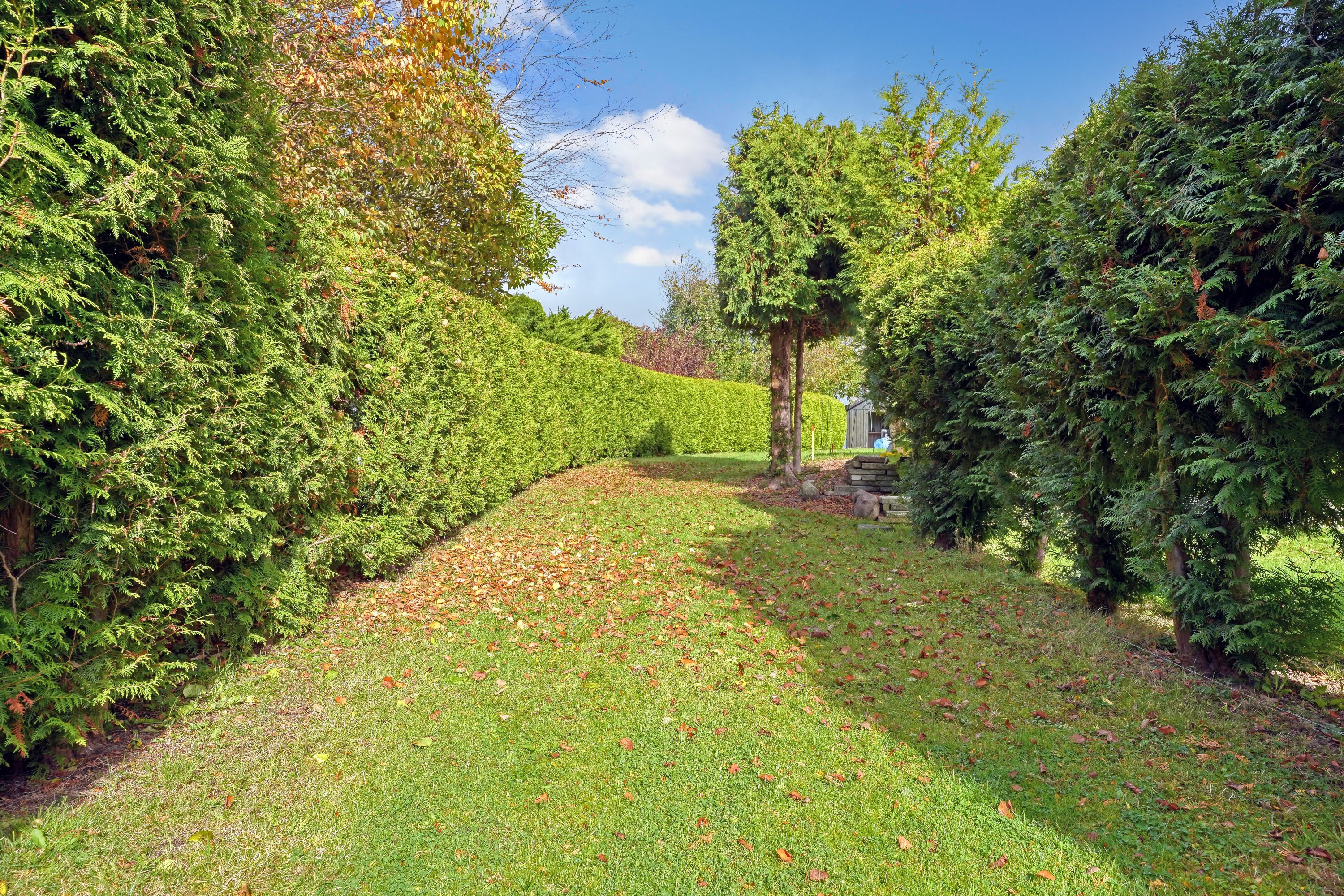 Fremhævet have billede i fuldskærmstilstand. Billede af Karlebovej 46, Karlebo, 2980 Kokkedal