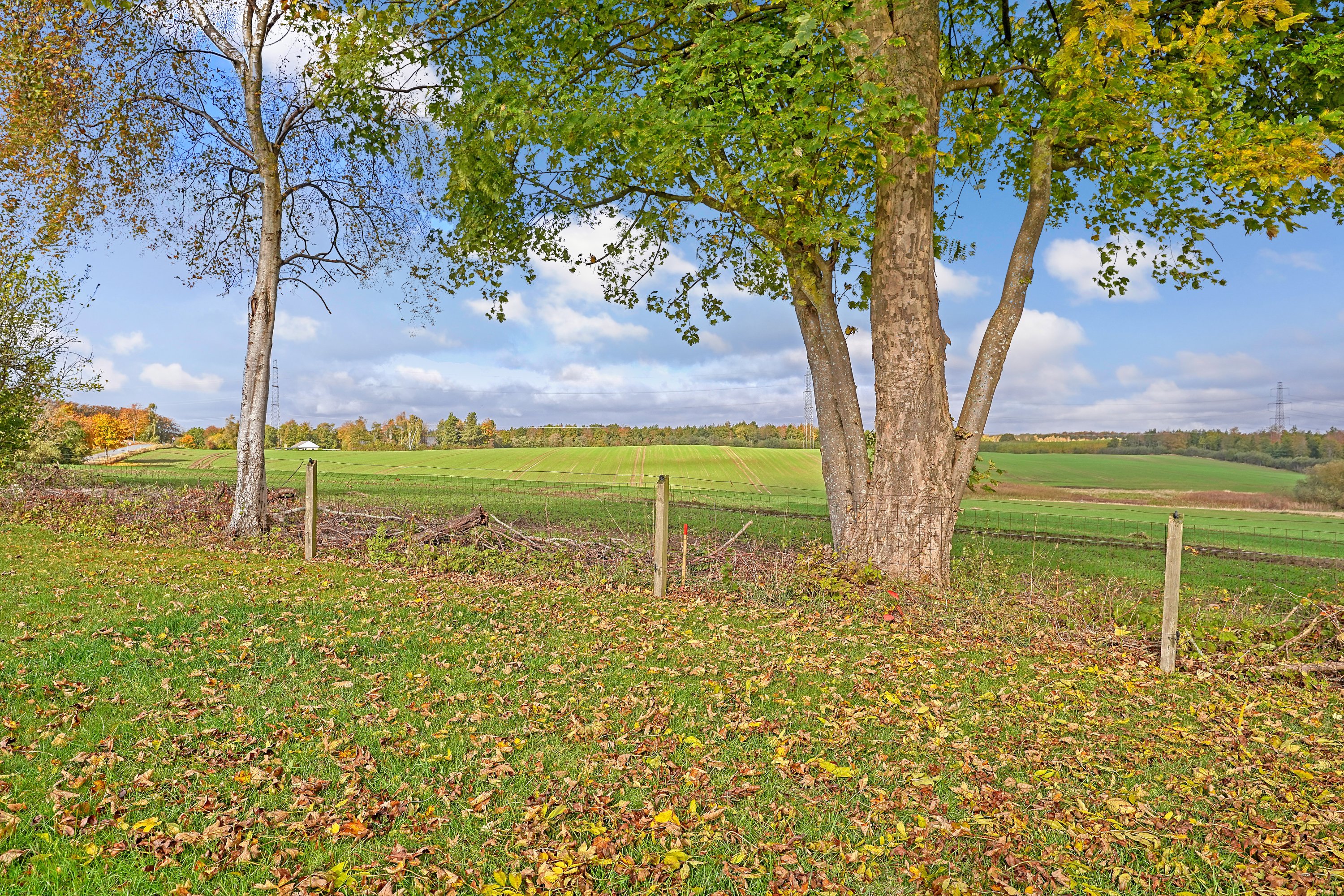 Fremhævet område billede i fuldskærmstilstand. Billede af Karlebovej 46, Karlebo, 2980 Kokkedal