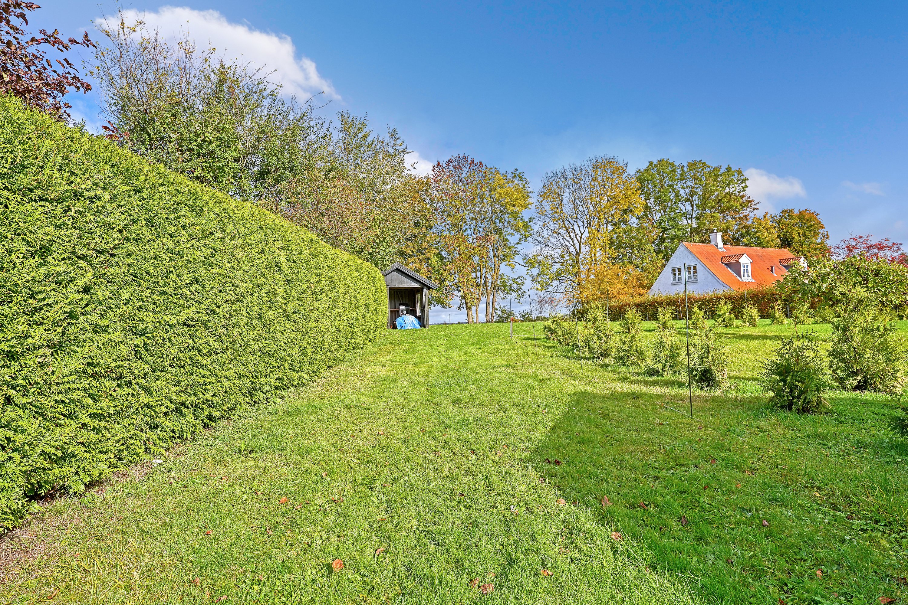 Fremhævet have billede i fuldskærmstilstand. Billede af Karlebovej 46, Karlebo, 2980 Kokkedal