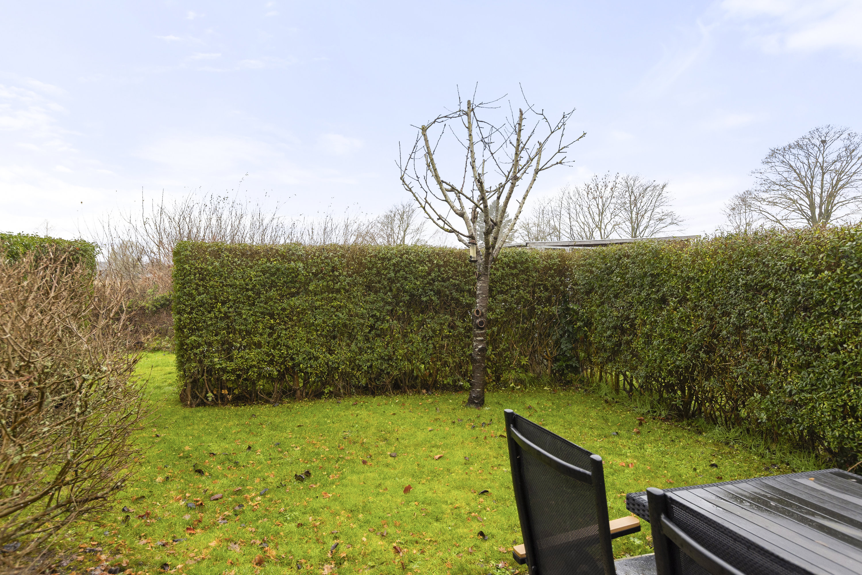 Fremhævet have billede i fuldskærmstilstand. Billede af Benløse Skel 4D, Benløse, 4100 Ringsted