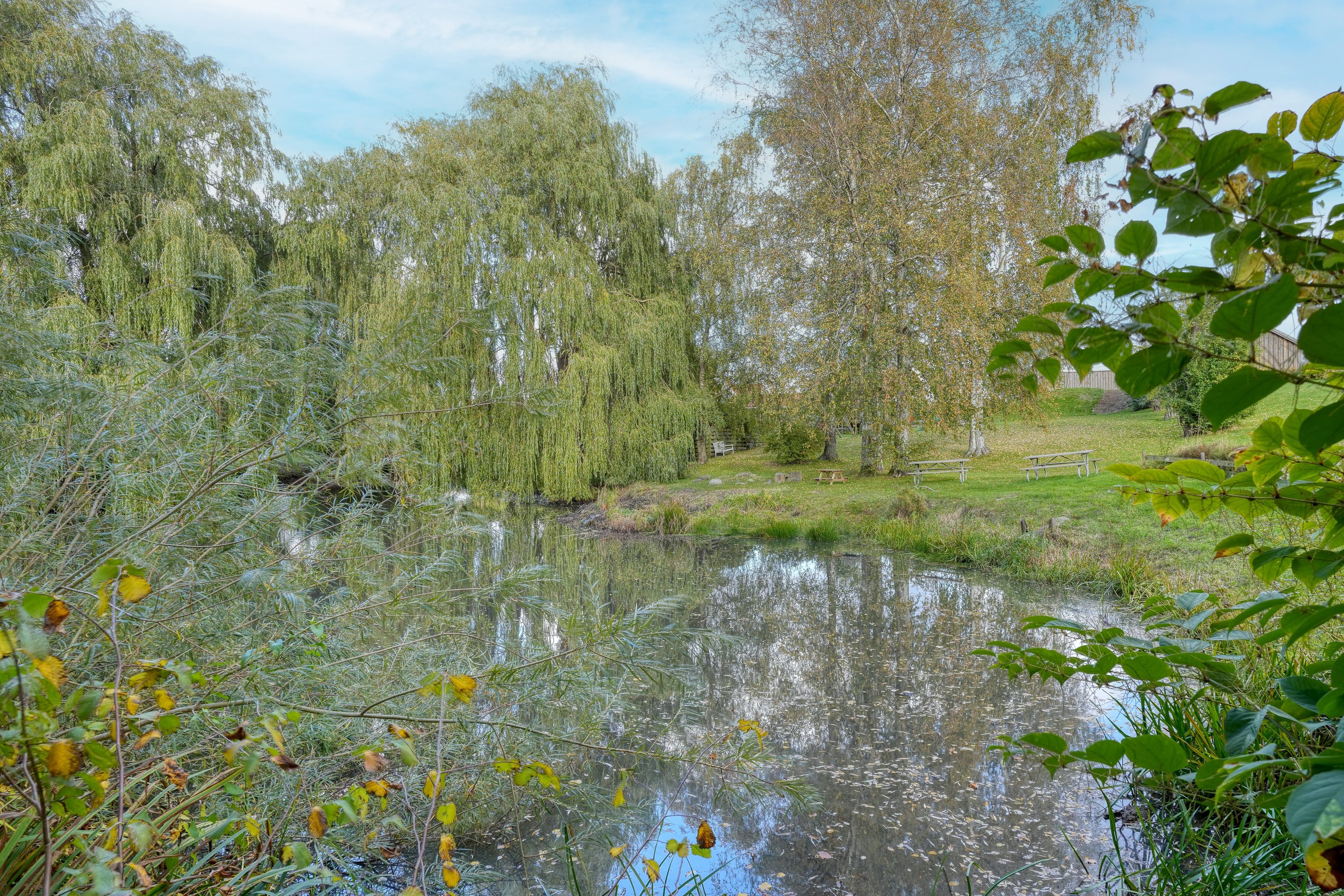 Fremhævet område billede i fuldskærmstilstand. Billede af Usserød Kongevej 40A, 2970 Hørsholm