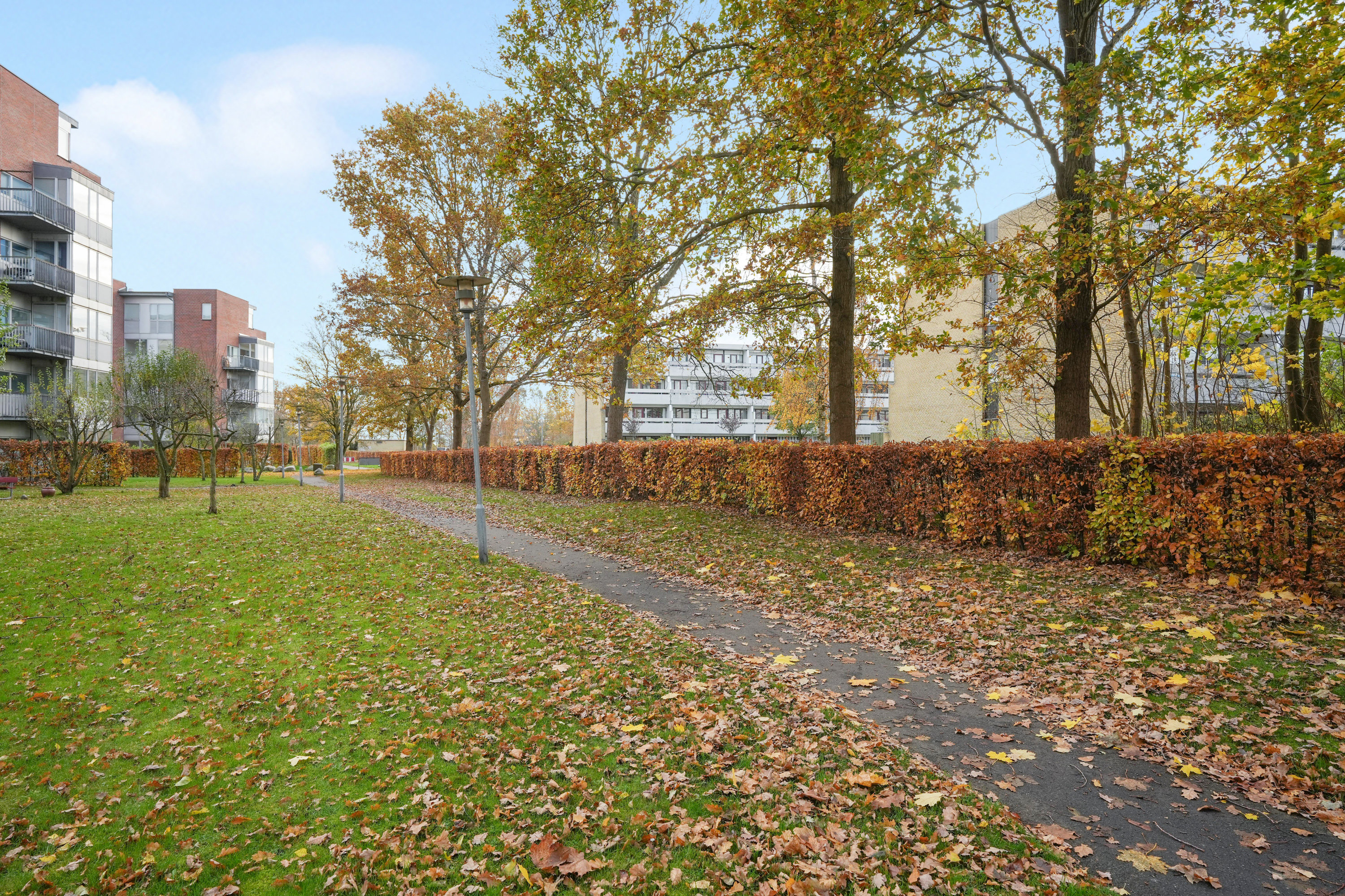 Fremhævet andet billede i fuldskærmstilstand. Billede af Vejlebrovej 115, 8. mf., 2635 Ishøj