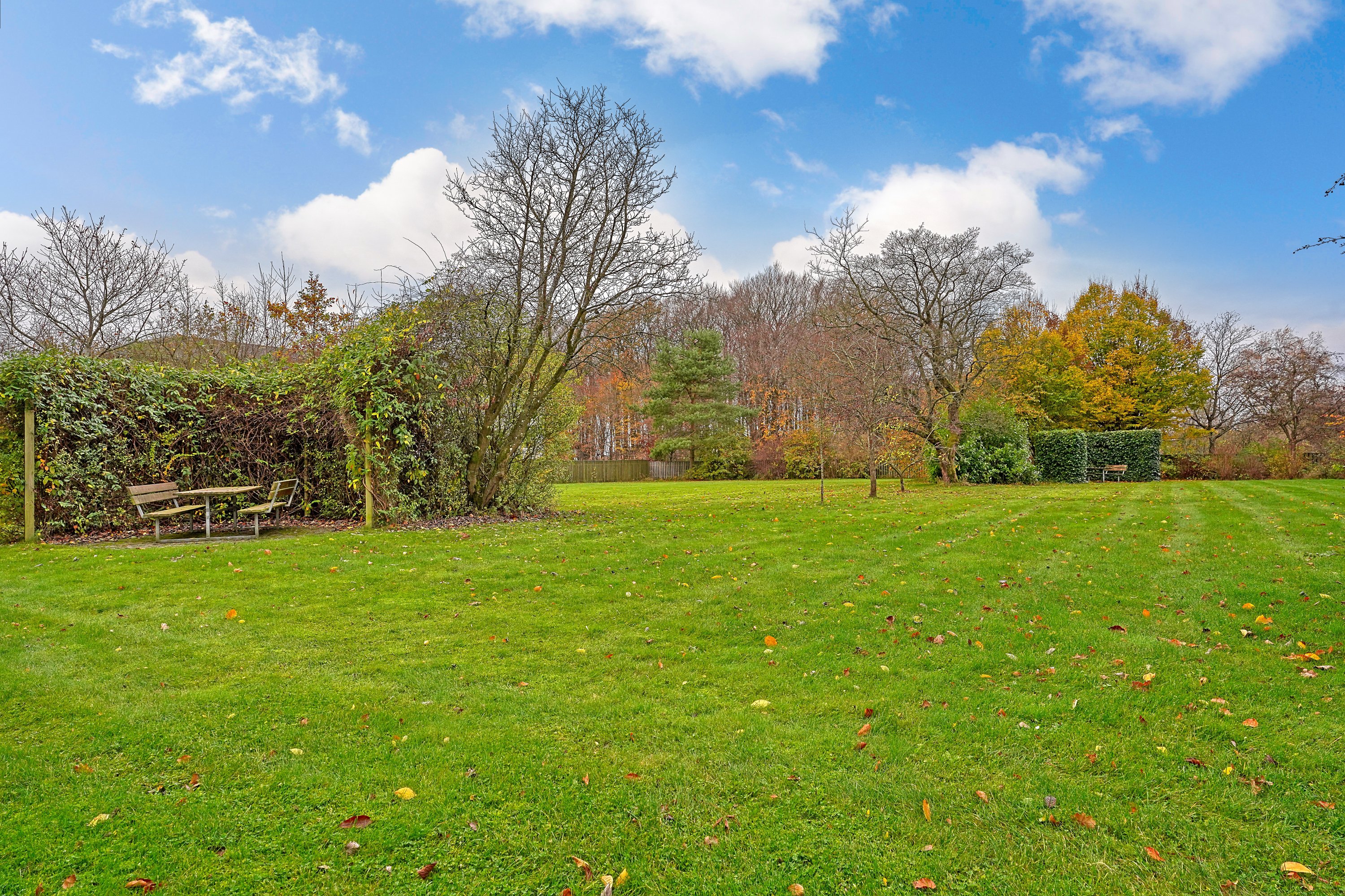 Fremhævet område billede i fuldskærmstilstand. Billede af Fredskovhellet 34, 1. th., 3400 Hillerød