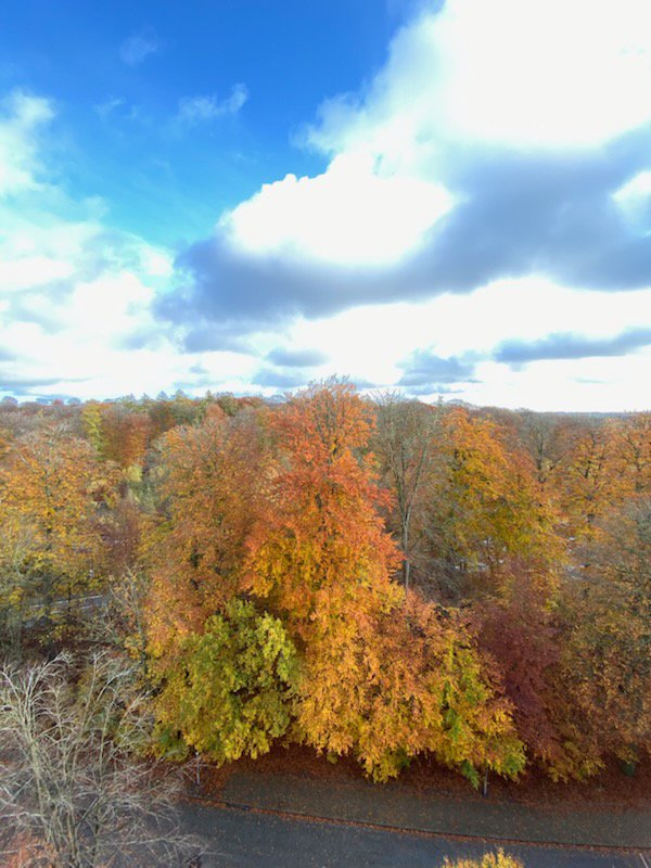 Fremhævet  billede i fuldskærmstilstand. Billede af Vejlesøparken 1, 8. 824., 2840 Holte