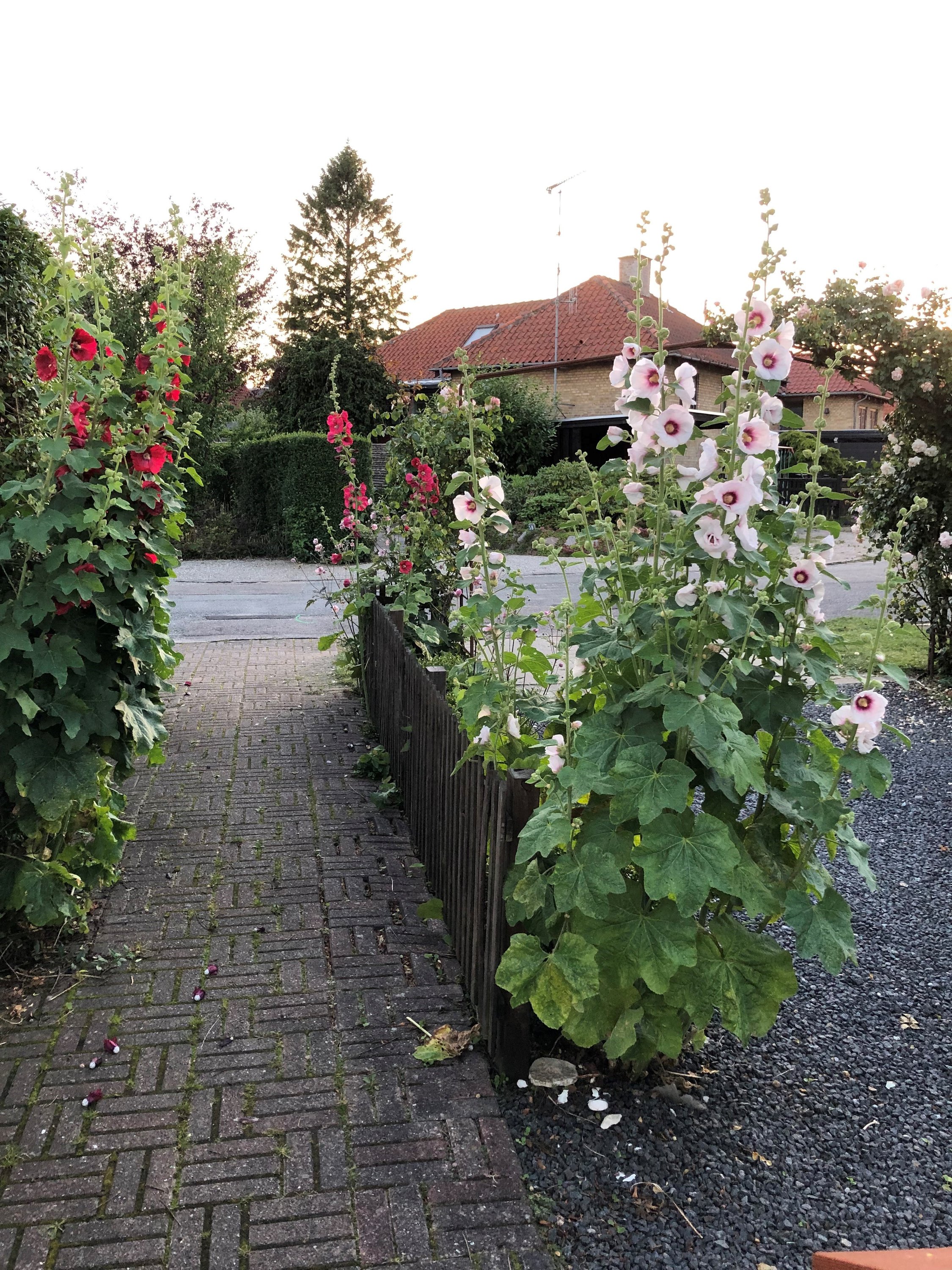 Fremhævet  billede i fuldskærmstilstand. Billede af Gulkløvervej 8, 1., 2400 København NV