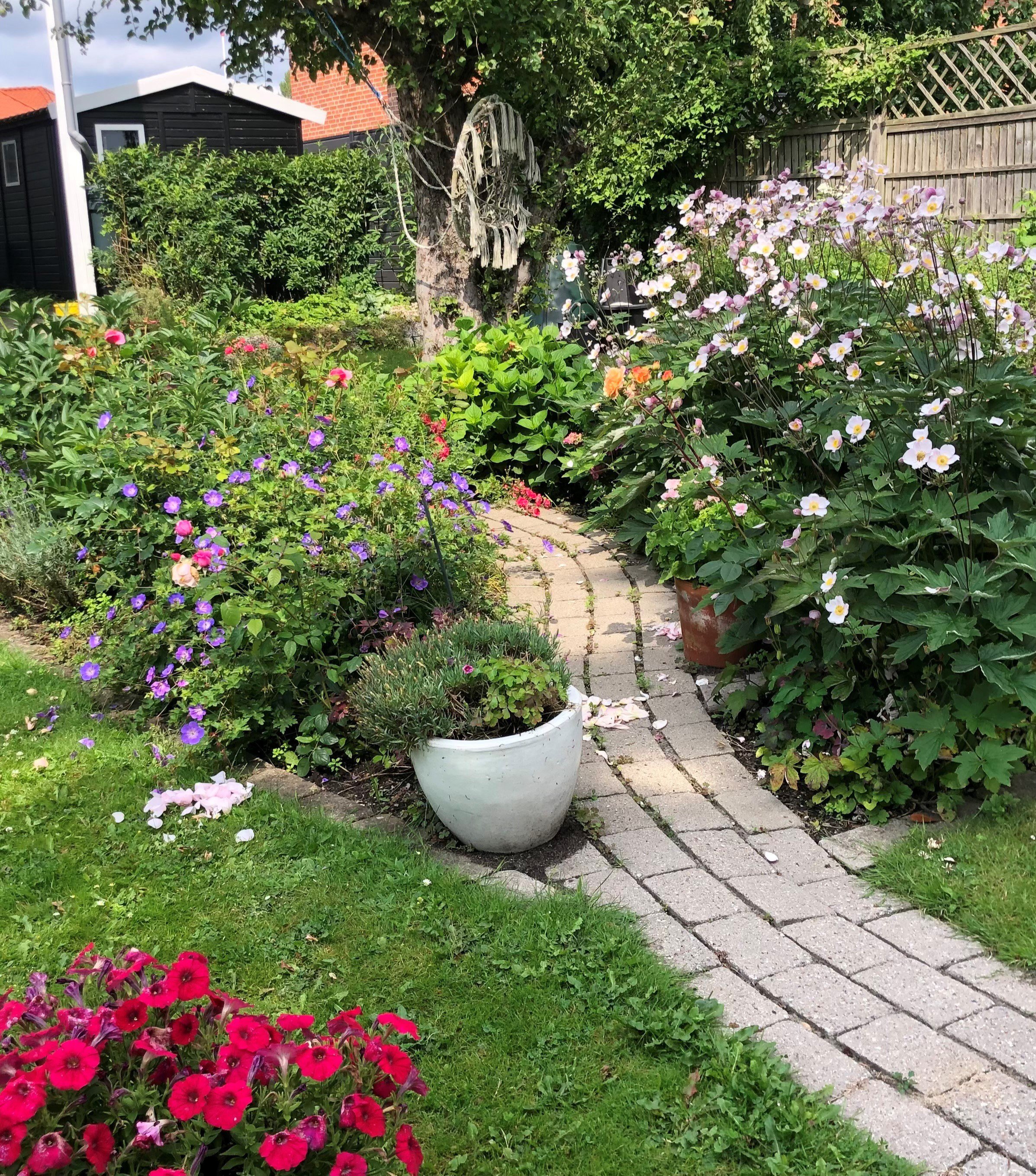 Fremhævet  billede i fuldskærmstilstand. Billede af Gulkløvervej 8, 1., 2400 København NV