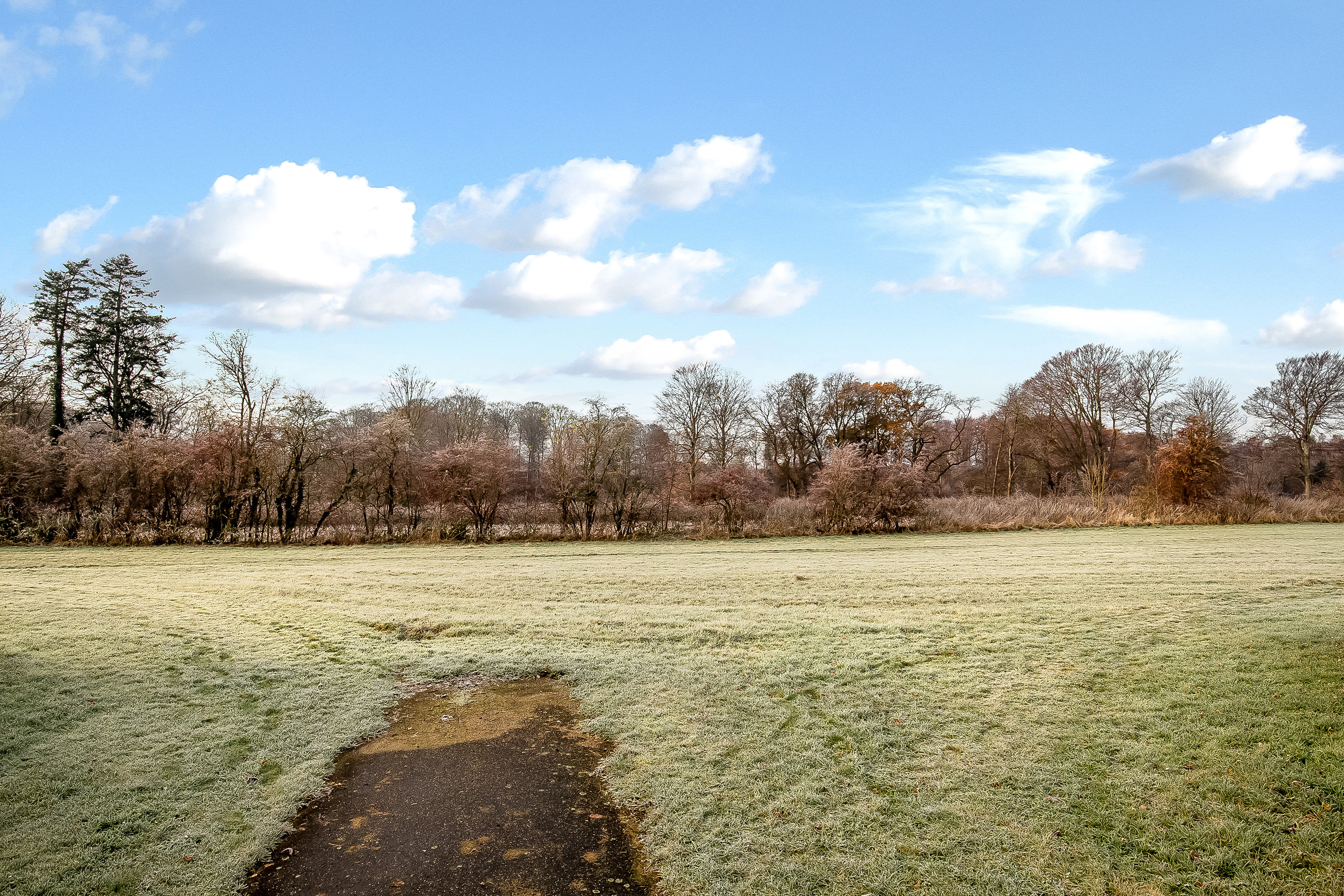 Fremhævet område billede i fuldskærmstilstand. Billede af Bakkedraget 79, Vester Nebel, 6040 Egtved