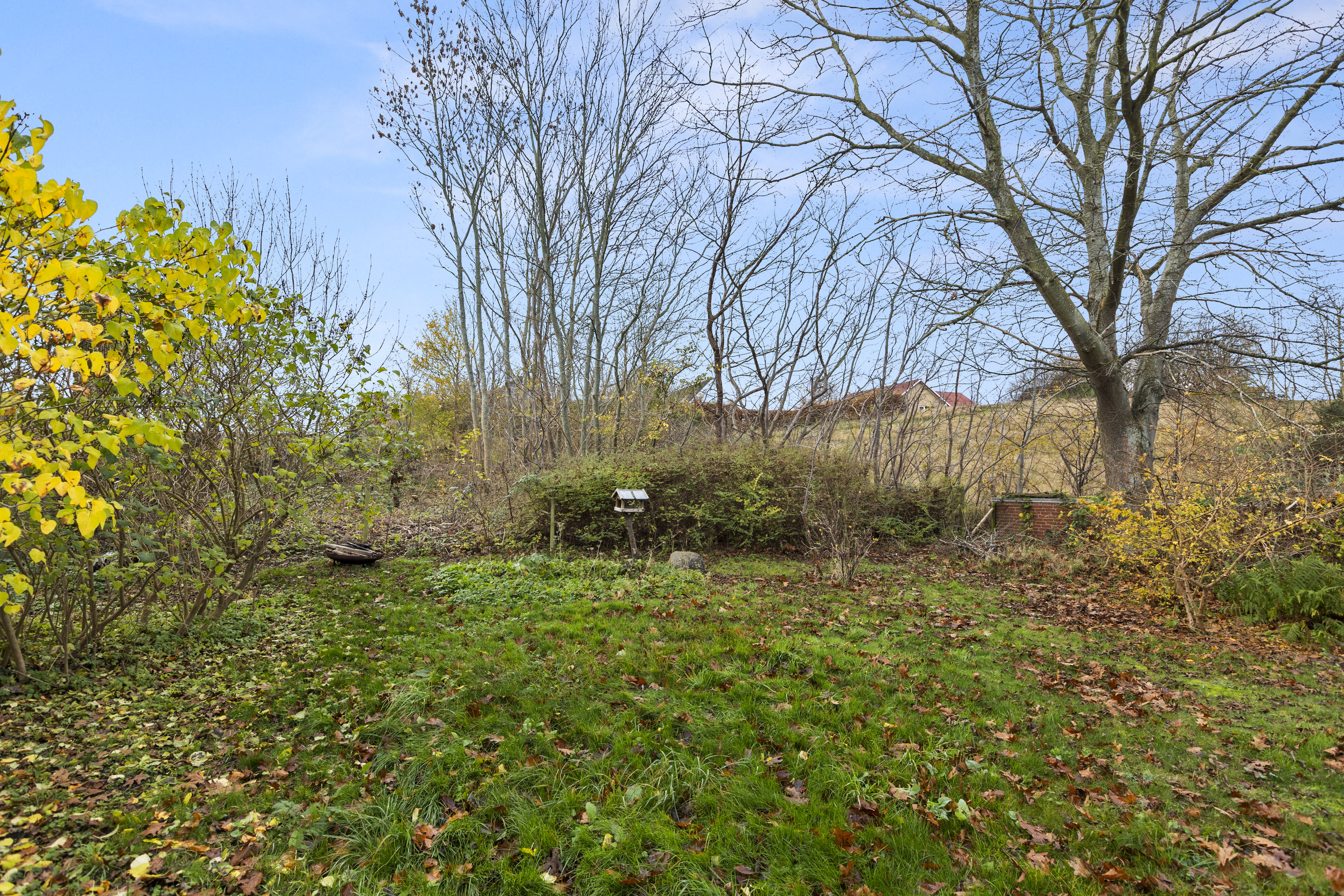 Miniaturebillede 1: have. Billede af Raklev Skillevej 61, 4400 Kalundborg