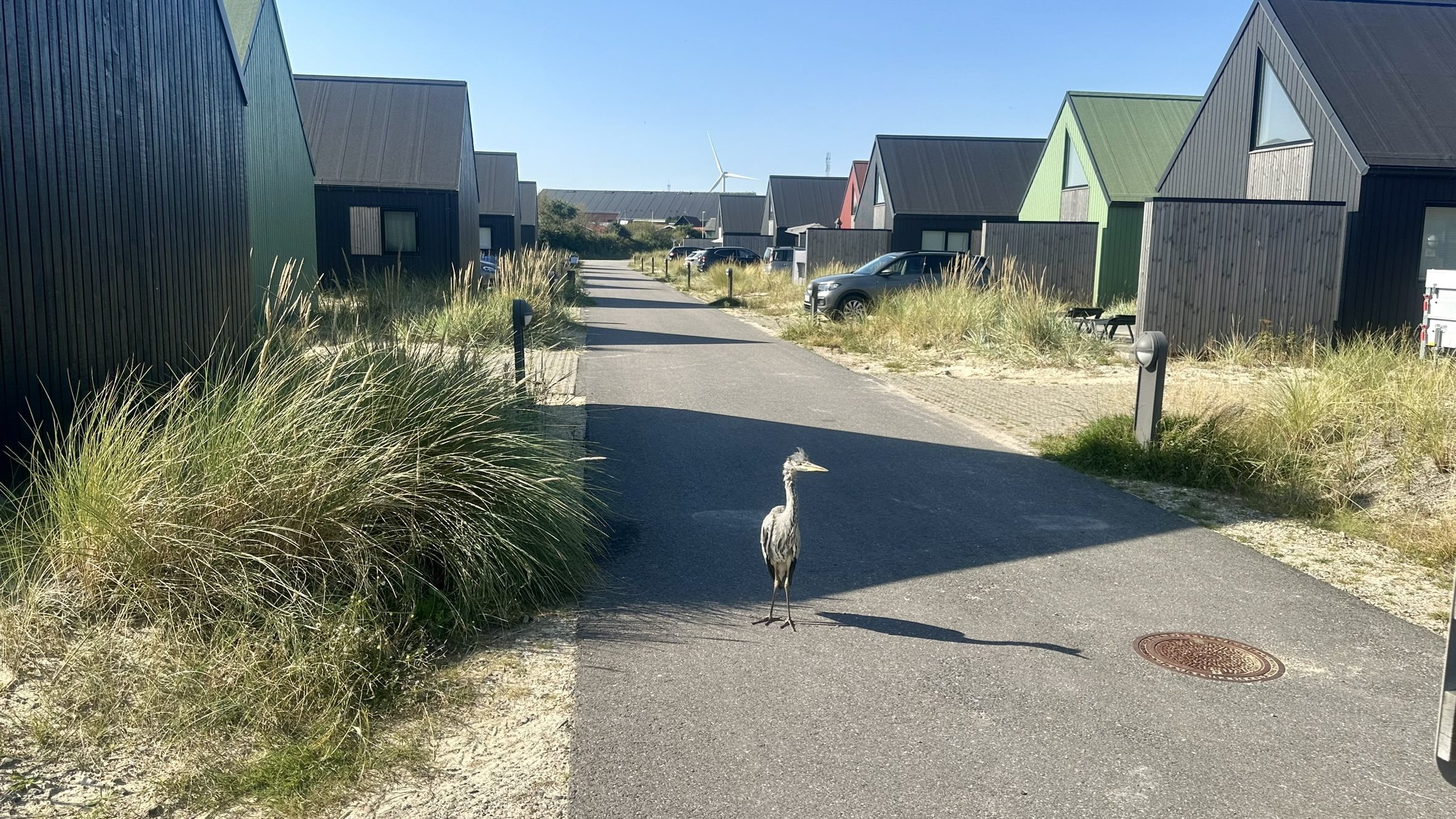 Fremhævet  billede i fuldskærmstilstand. Billede af Langsand 62 R, 6960 Hvide Sande