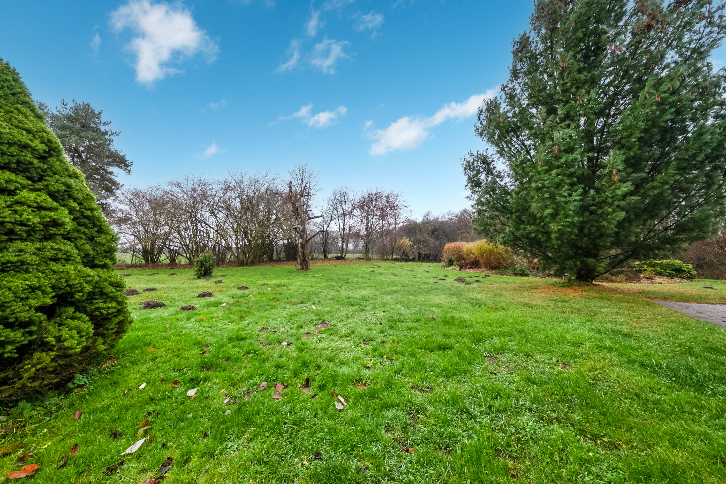 Fremhævet have billede i fuldskærmstilstand. Billede af Solevadvej 40, Solevad, 5690 Tommerup