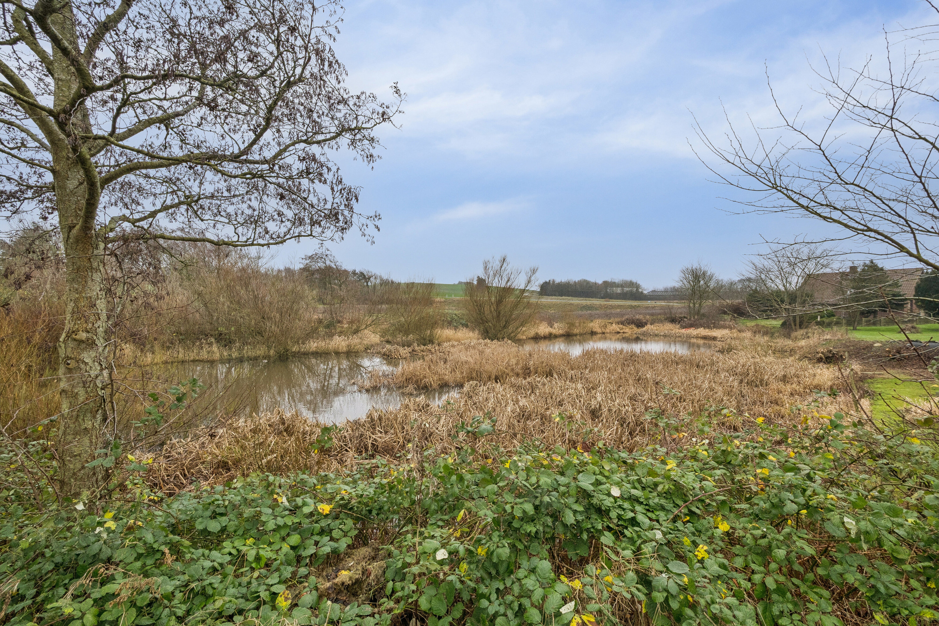 Fremhævet udendørs billede i fuldskærmstilstand. Billede af Bydamsvej 11, 7752 Snedsted
